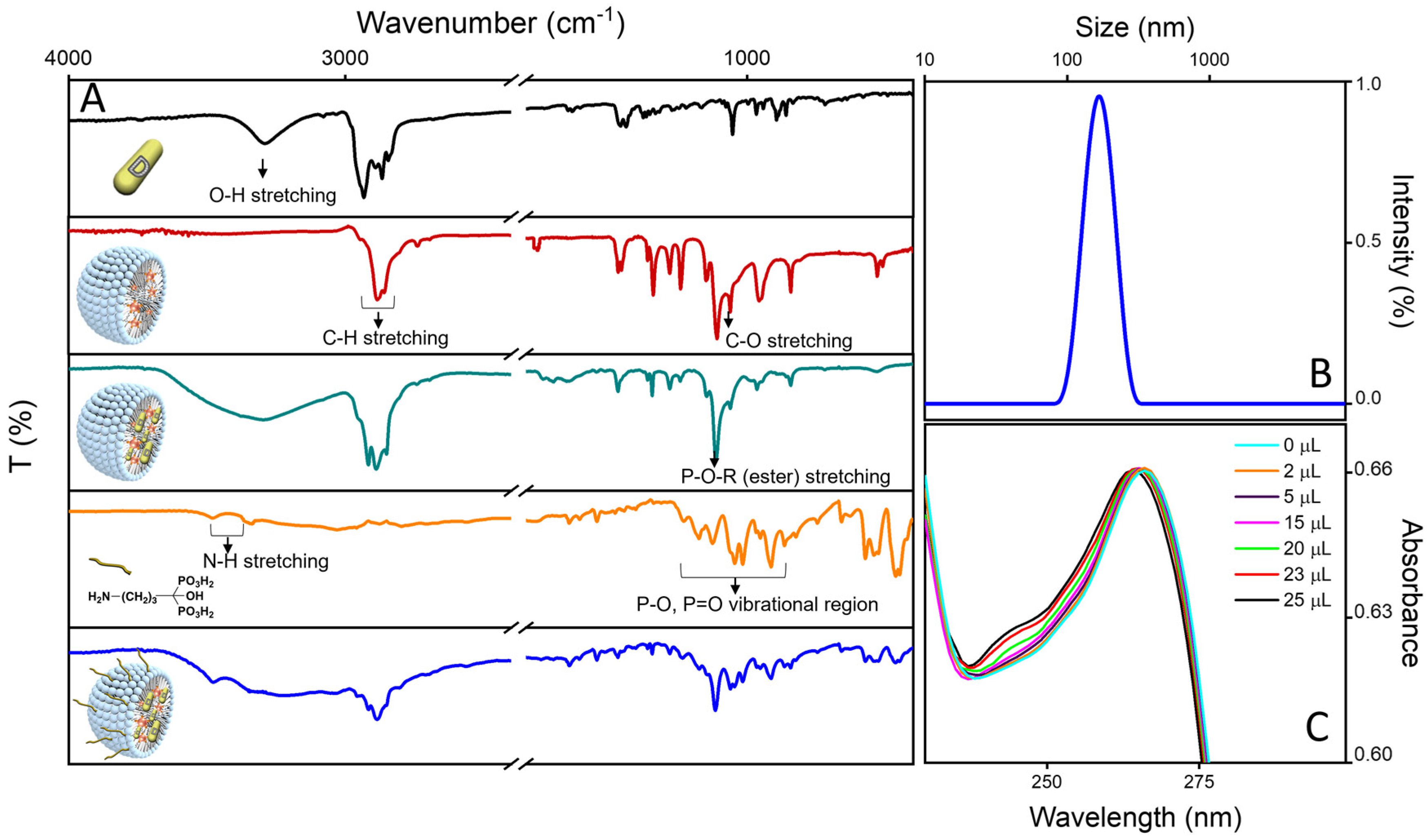 Molecules 29 02367 g004