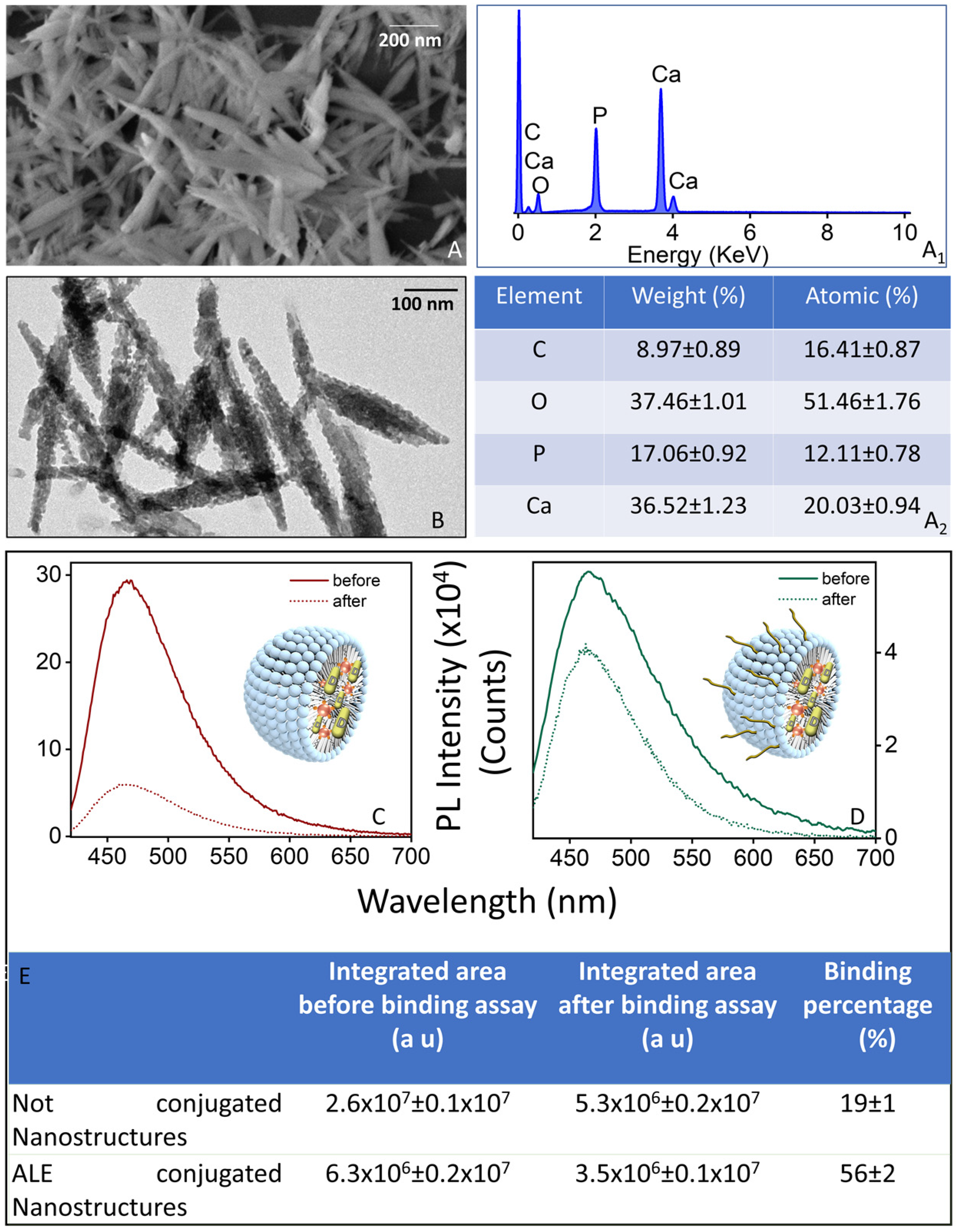 Molecules 29 02367 g005