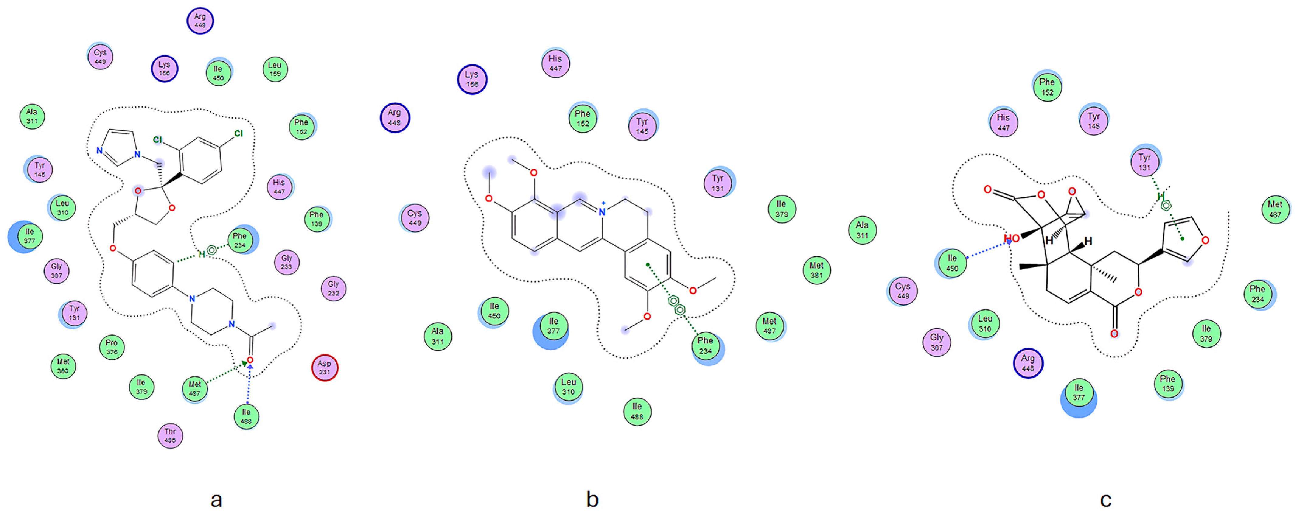 Molecules 29 02373 g003 Molecules 29 02373 g003