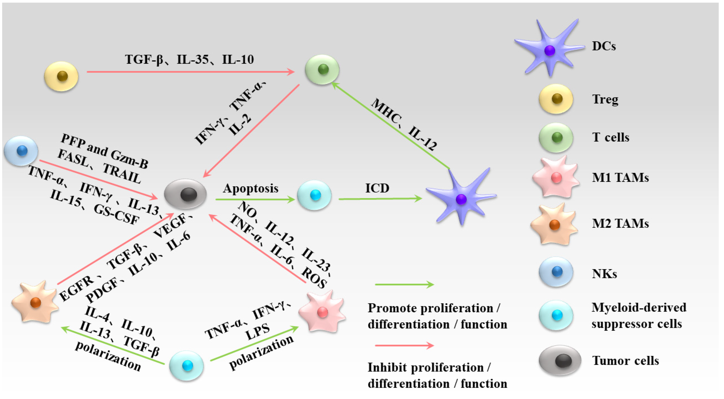 Molecules 29 02374 g001