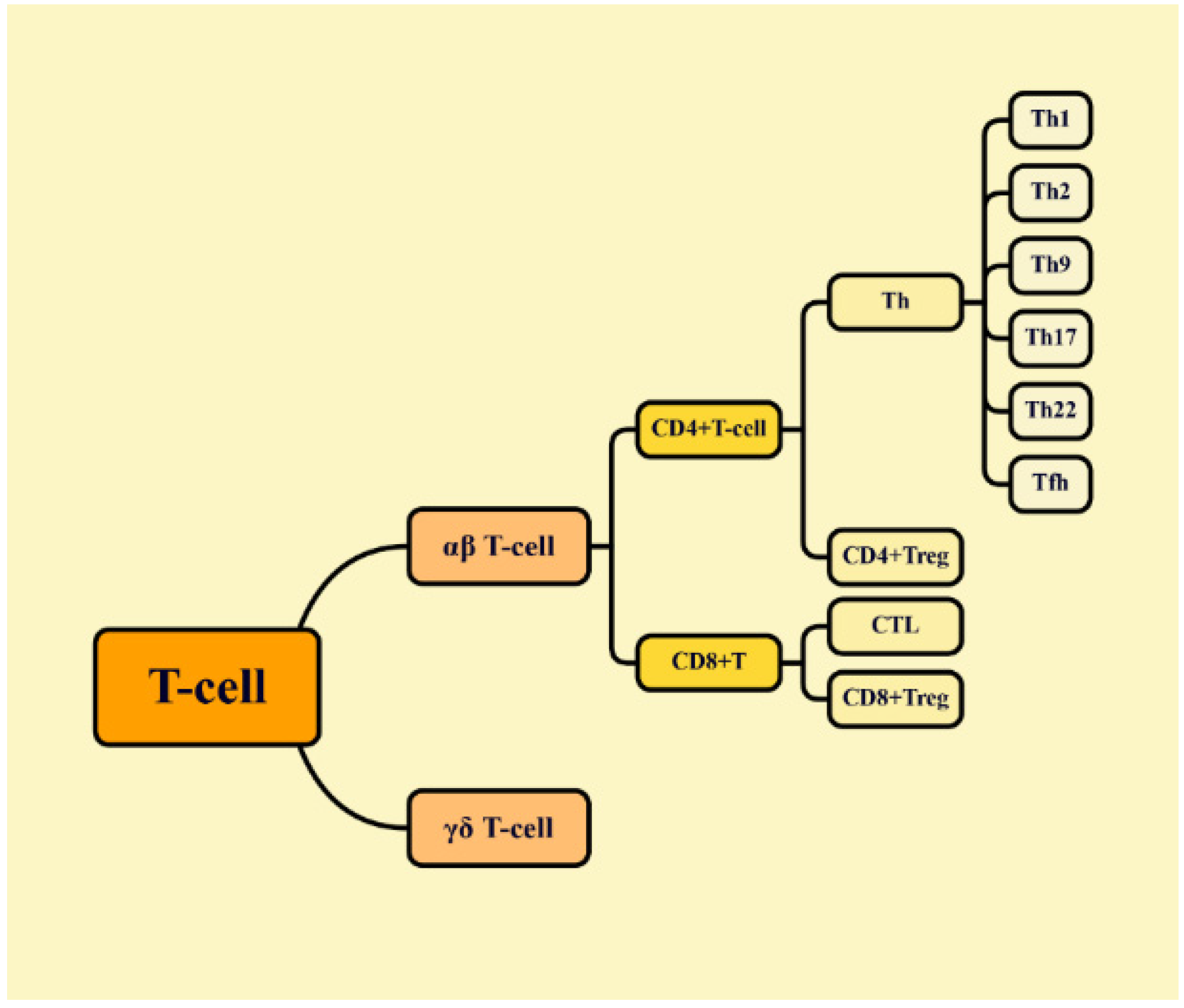 Molecules 29 02374 g002