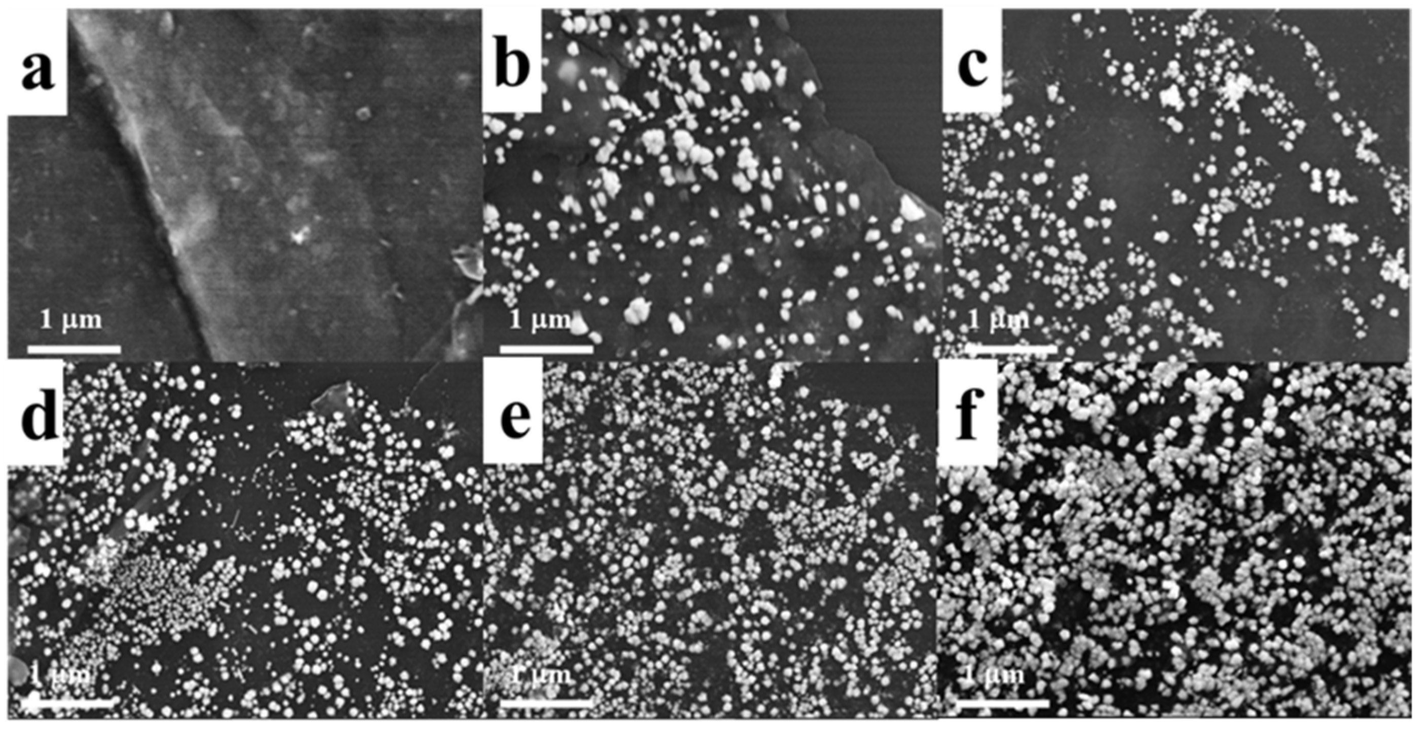 Molecules 29 02383 g001