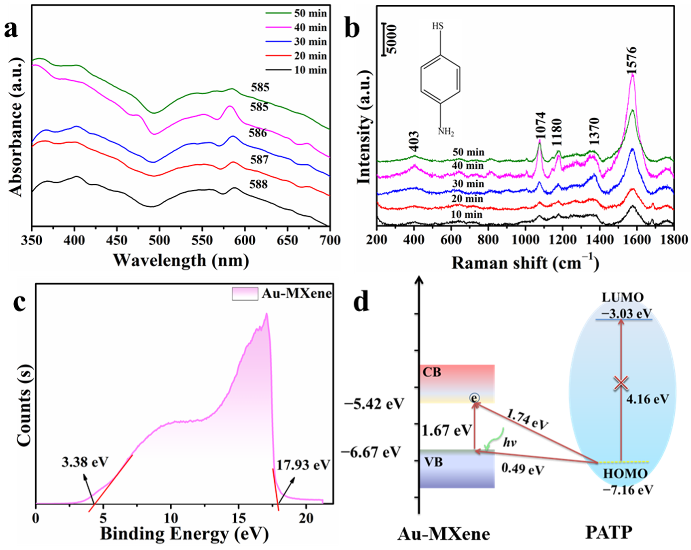Molecules 29 02383 g005