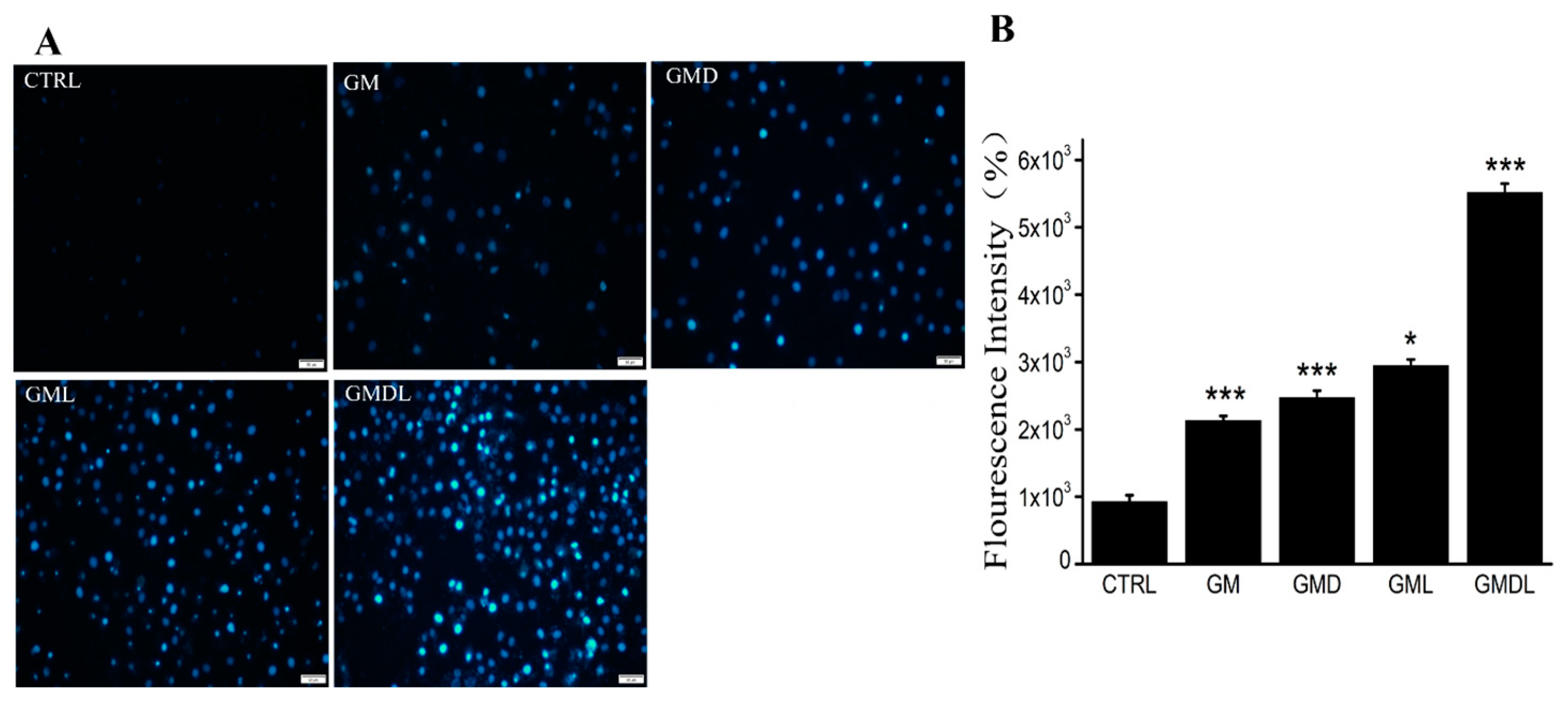 Molecules 29 02384 g005