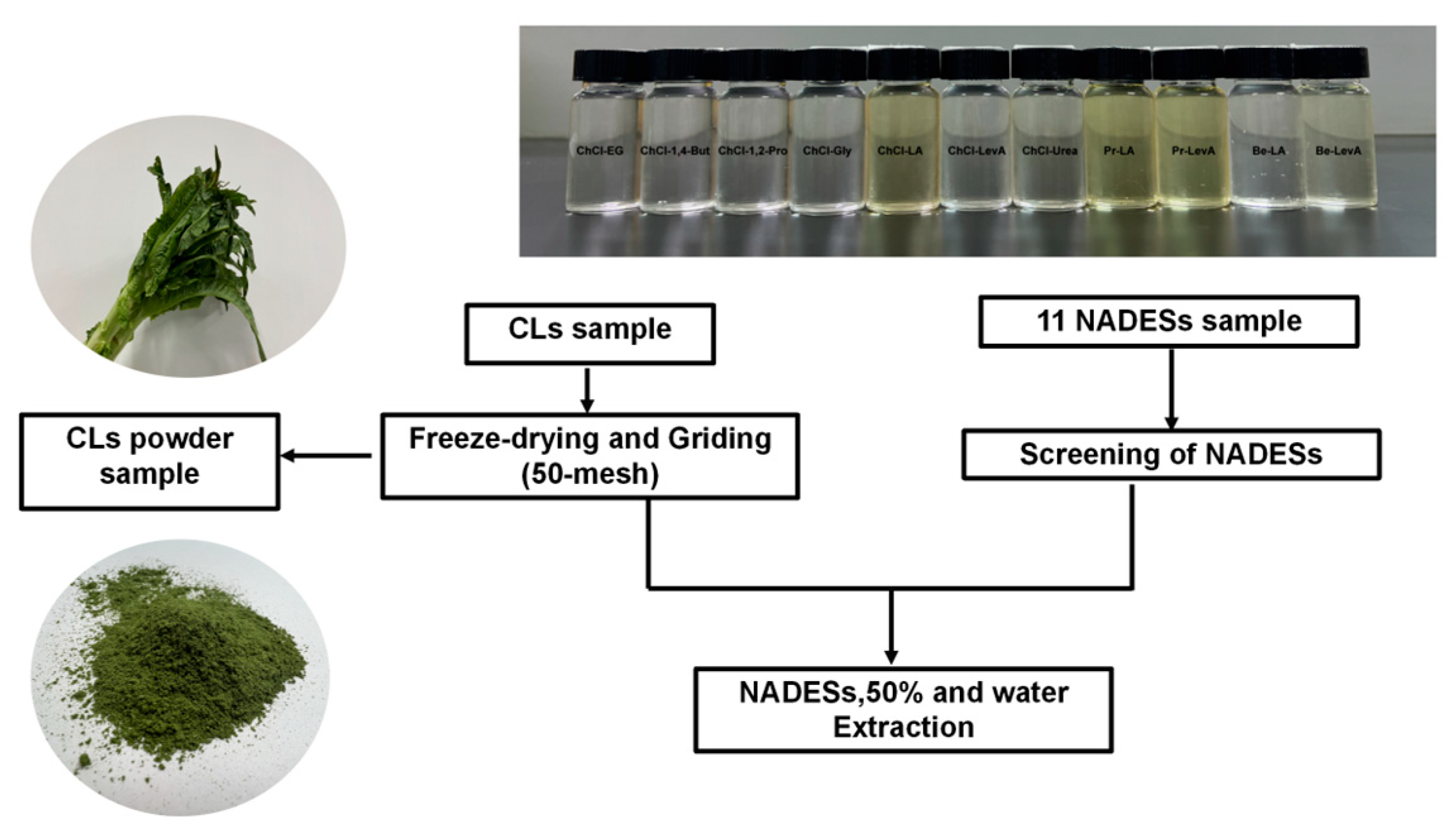 Molecules 29 02385 g007
