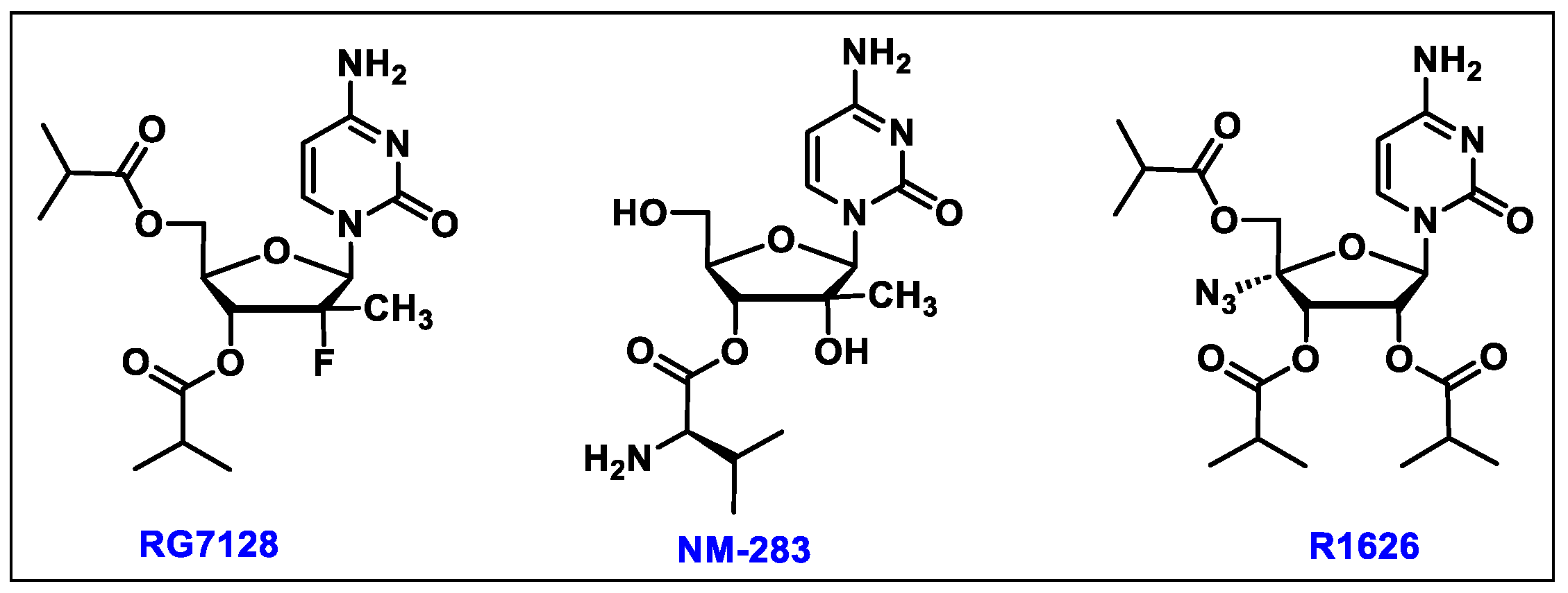 Molecules 29 02390 g003