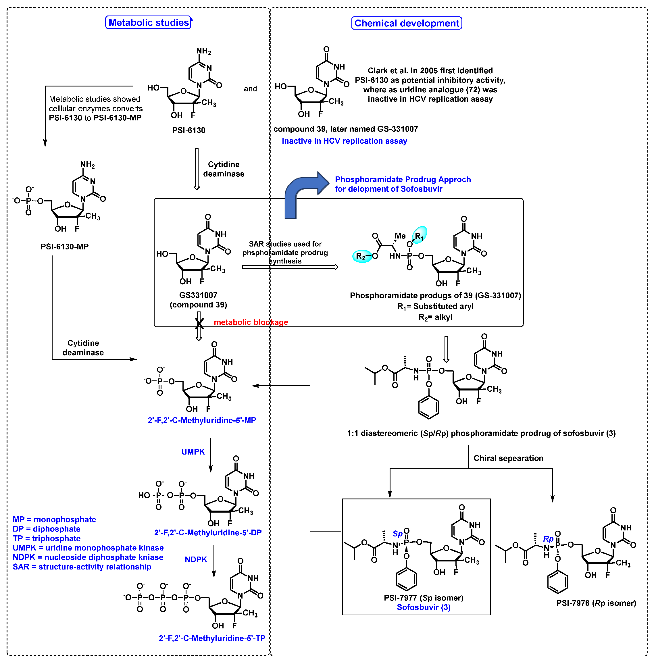 Molecules 29 02390 g004