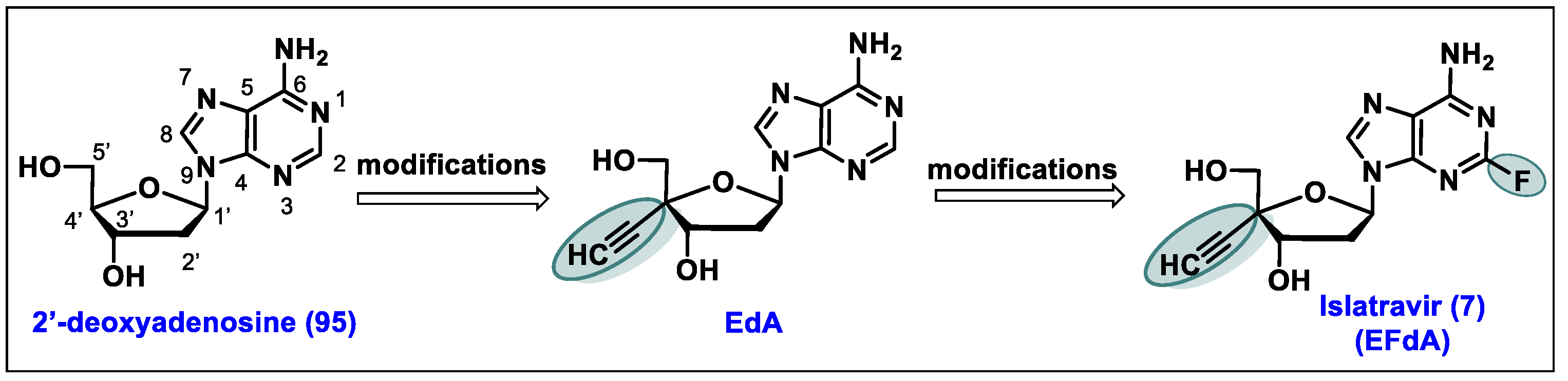 Molecules 29 02390 g005