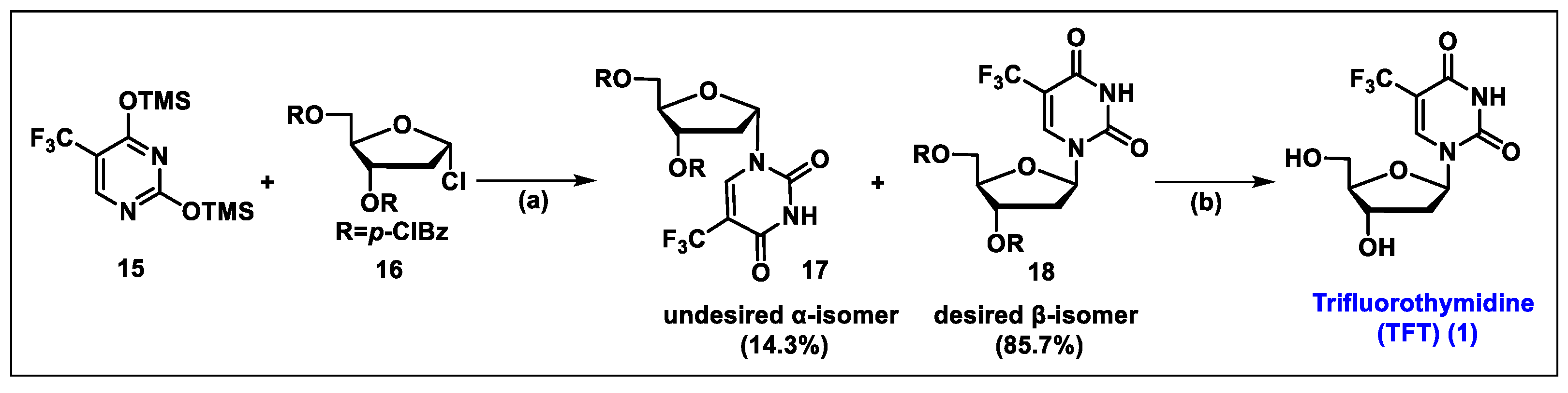 Molecules 29 02390 sch002