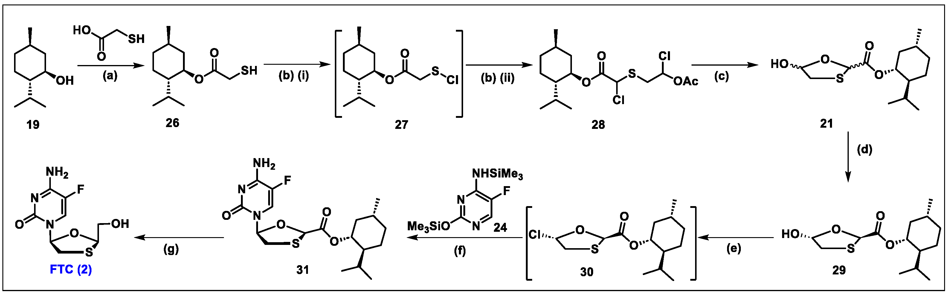 Molecules 29 02390 sch004