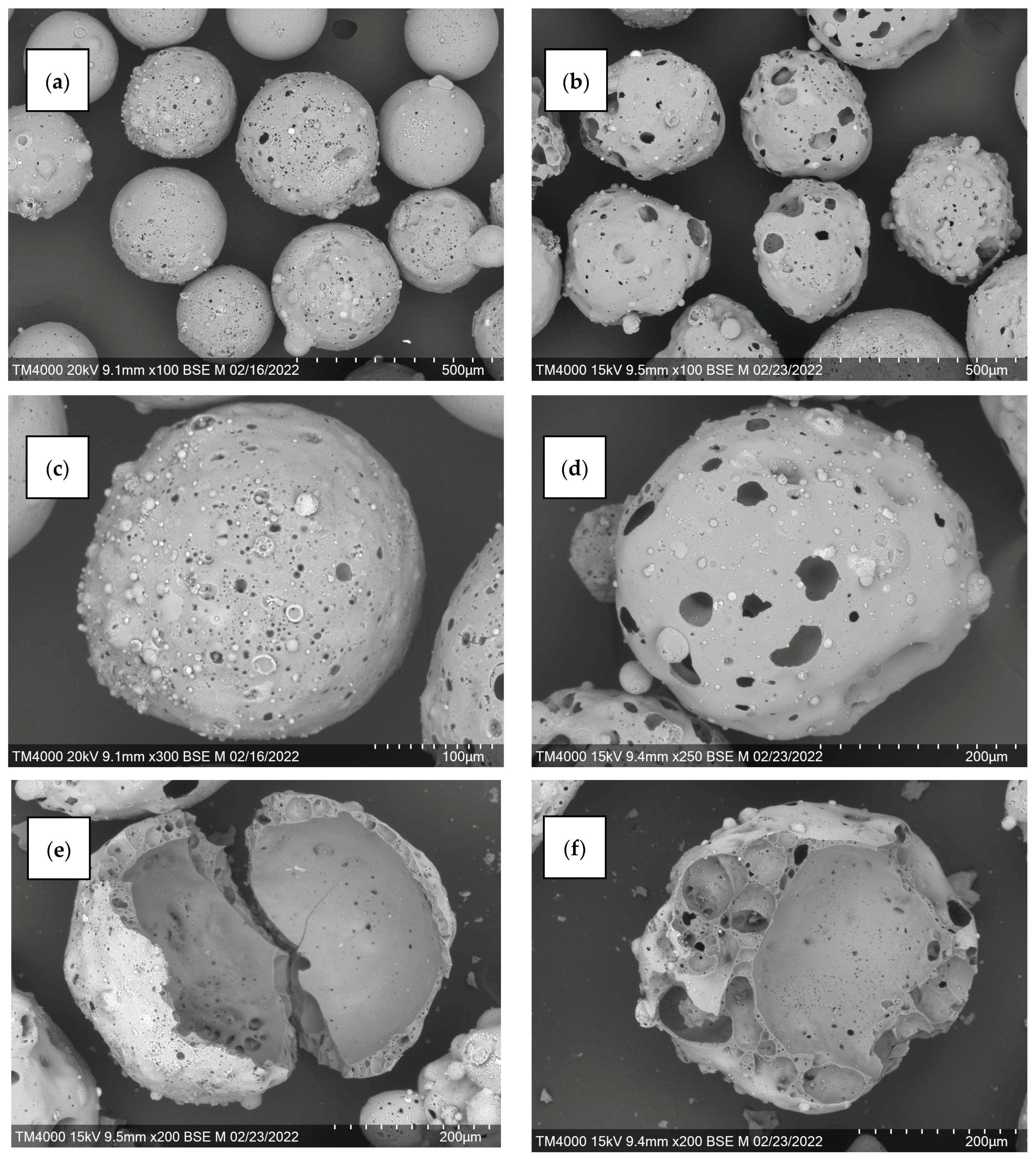 Molecules 29 02391 g006a