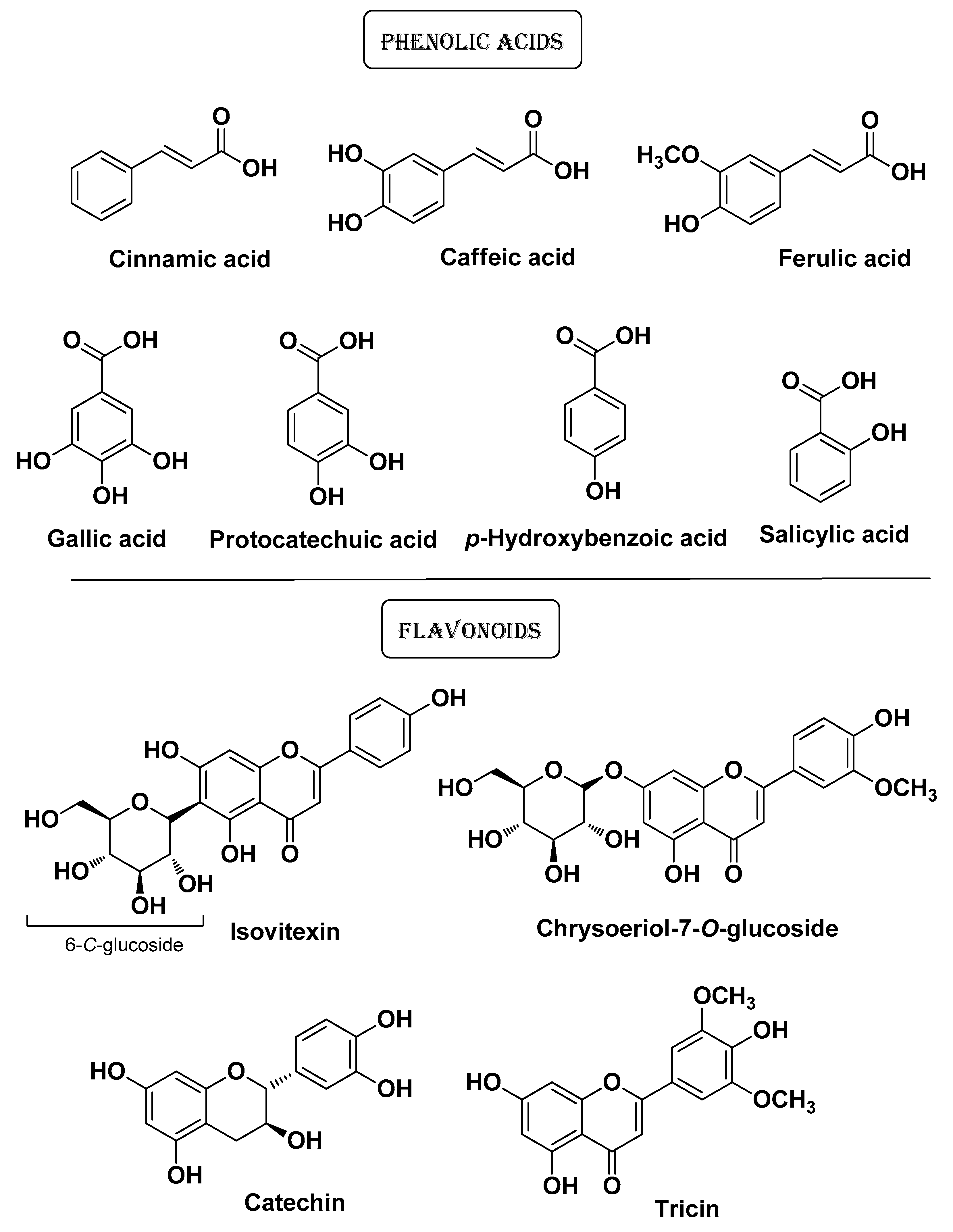 Molecules | Free Full-Text | Bioactive Compounds from Medicinal Plants ...