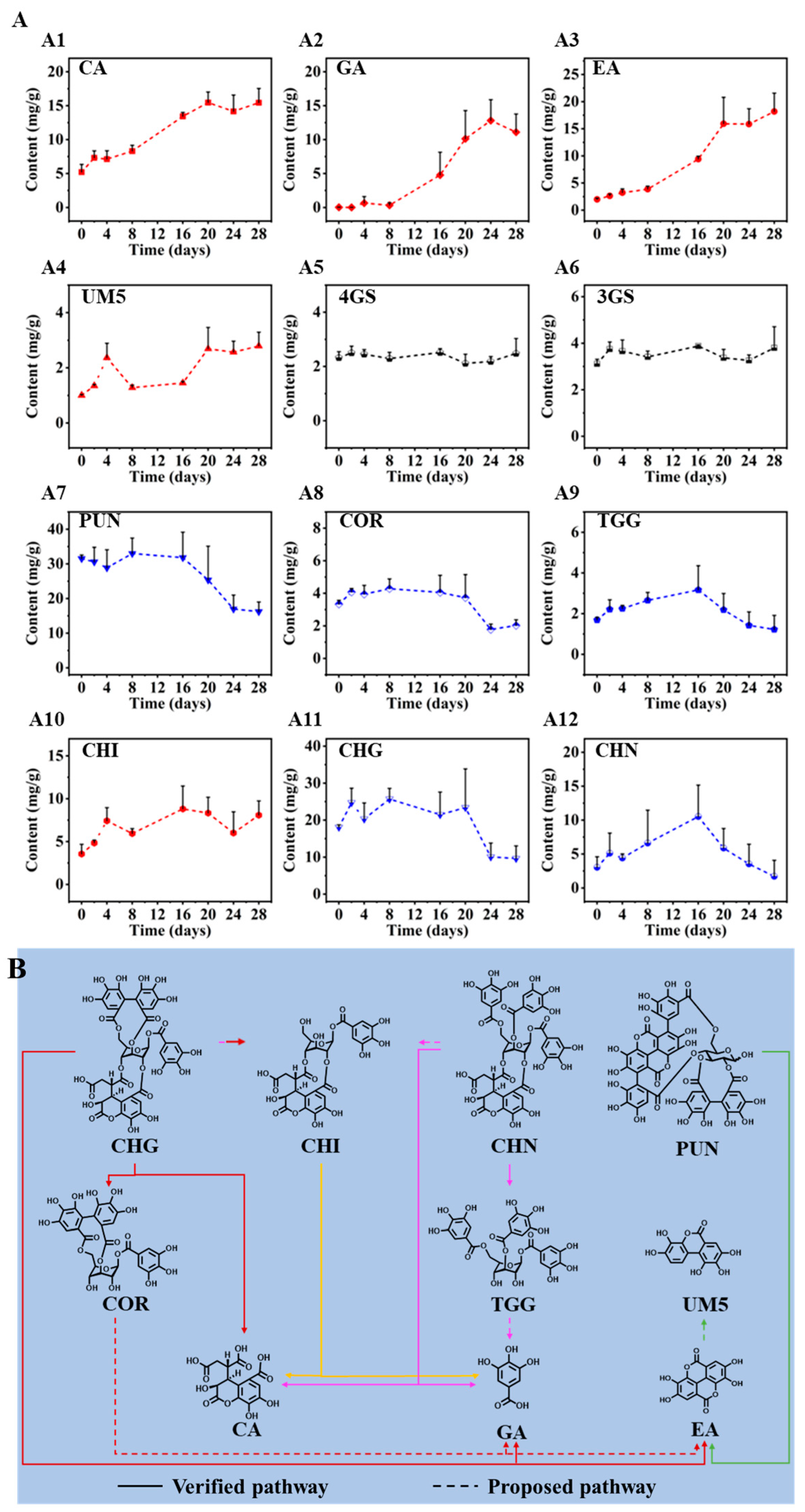 Molecules 29 02399 g004