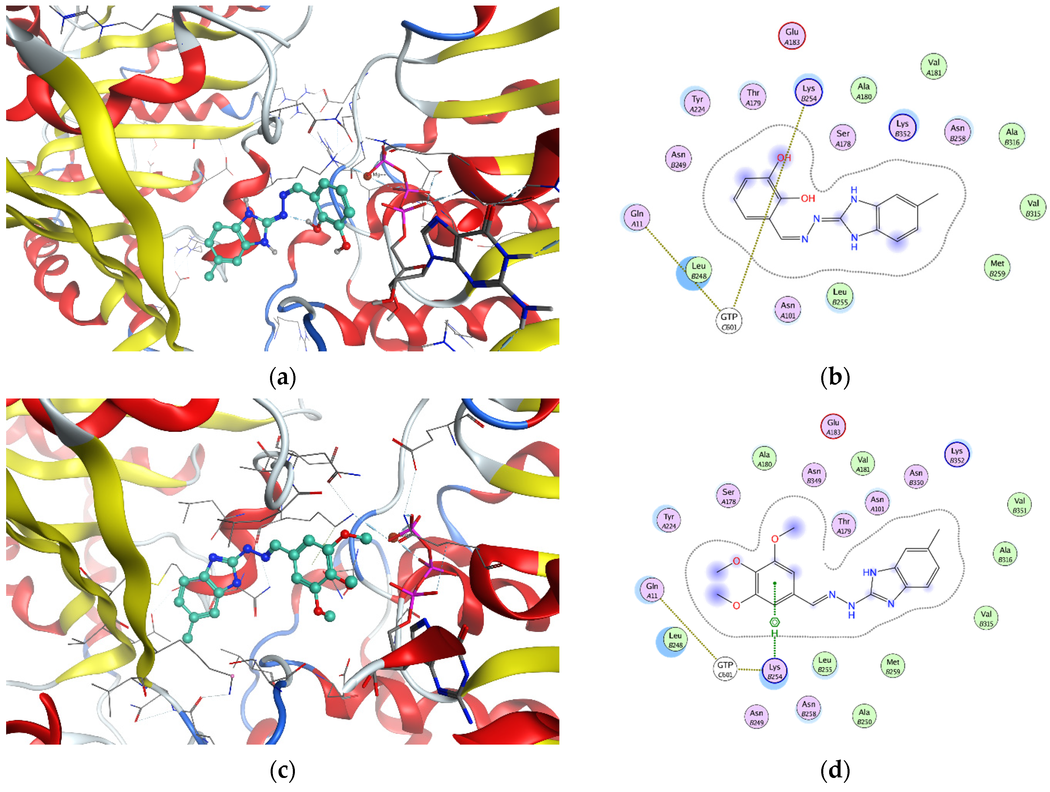Molecules 29 02400 g003