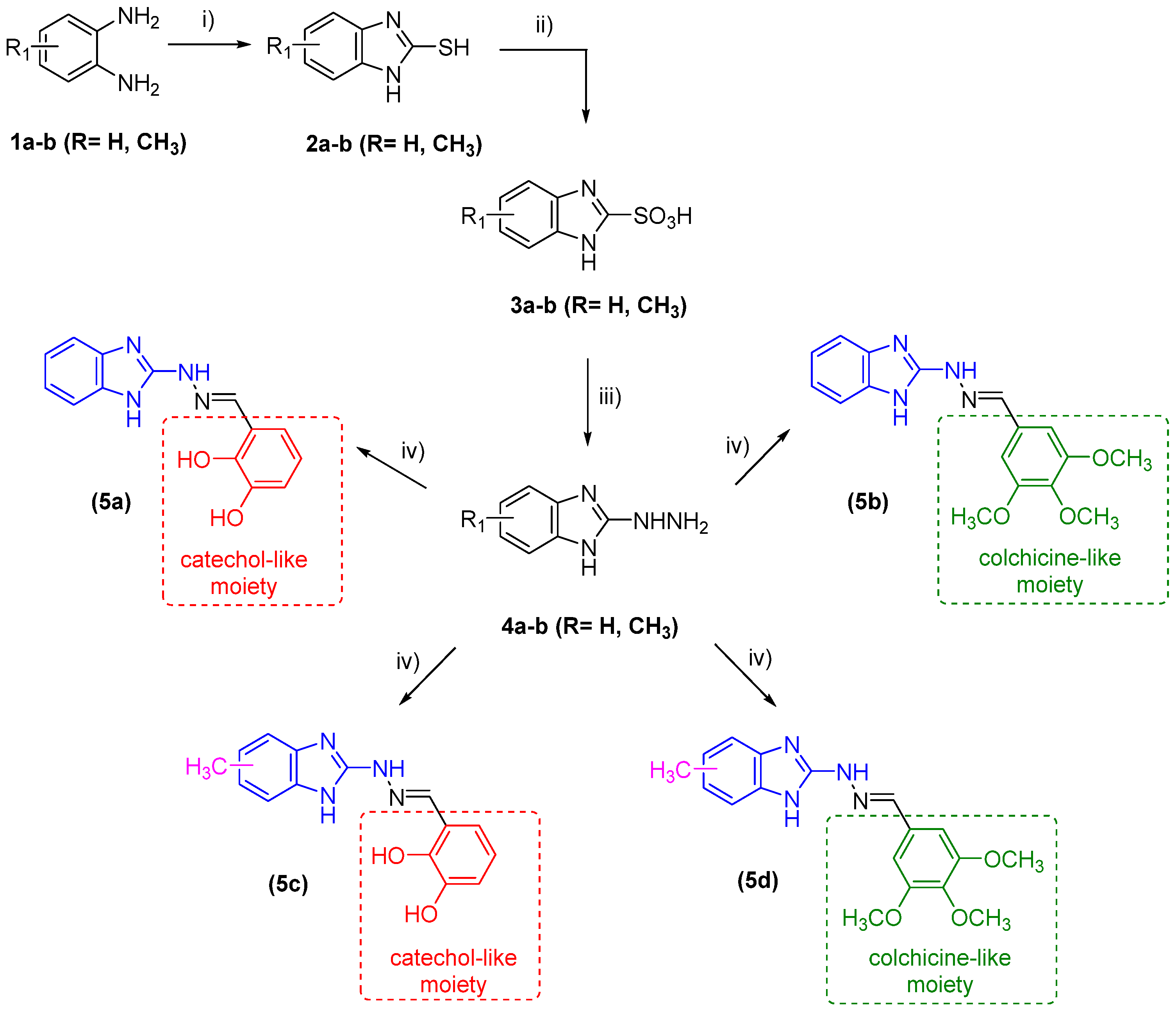 Molecules 29 02400 sch001