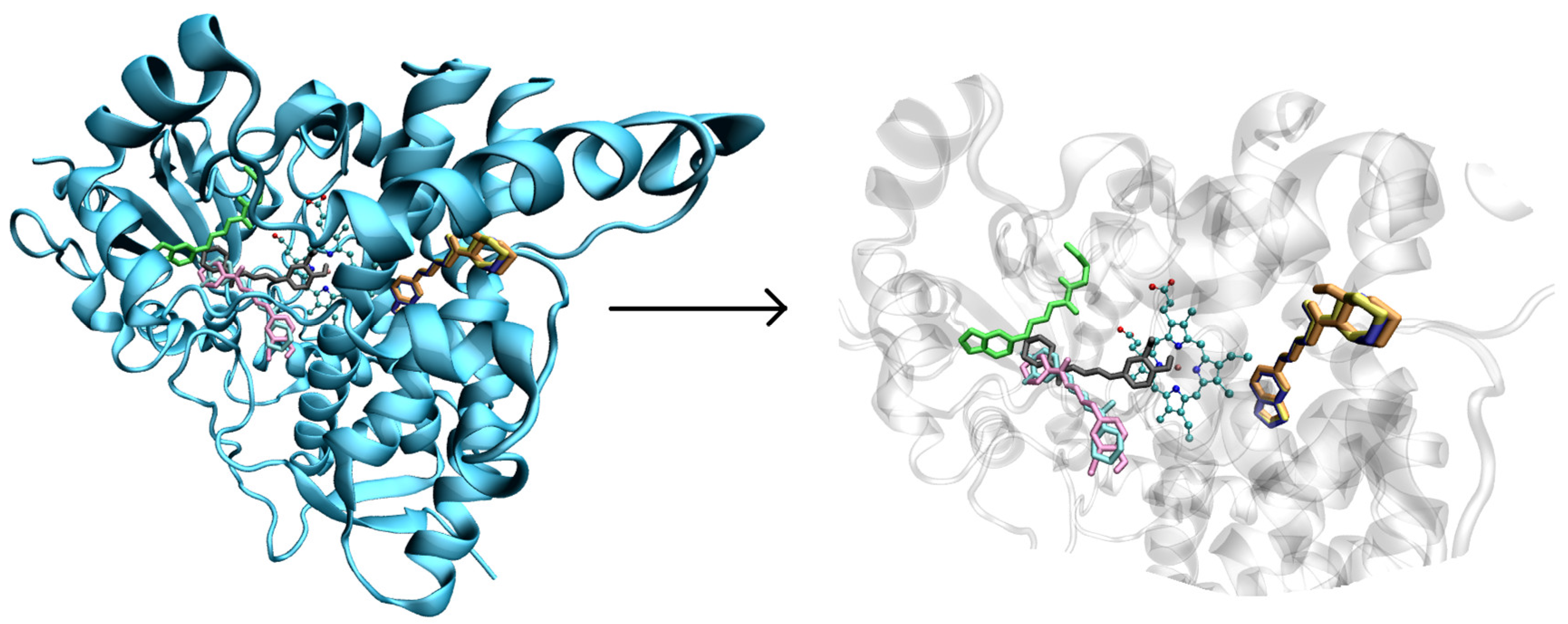 Molecules 29 02406 g005