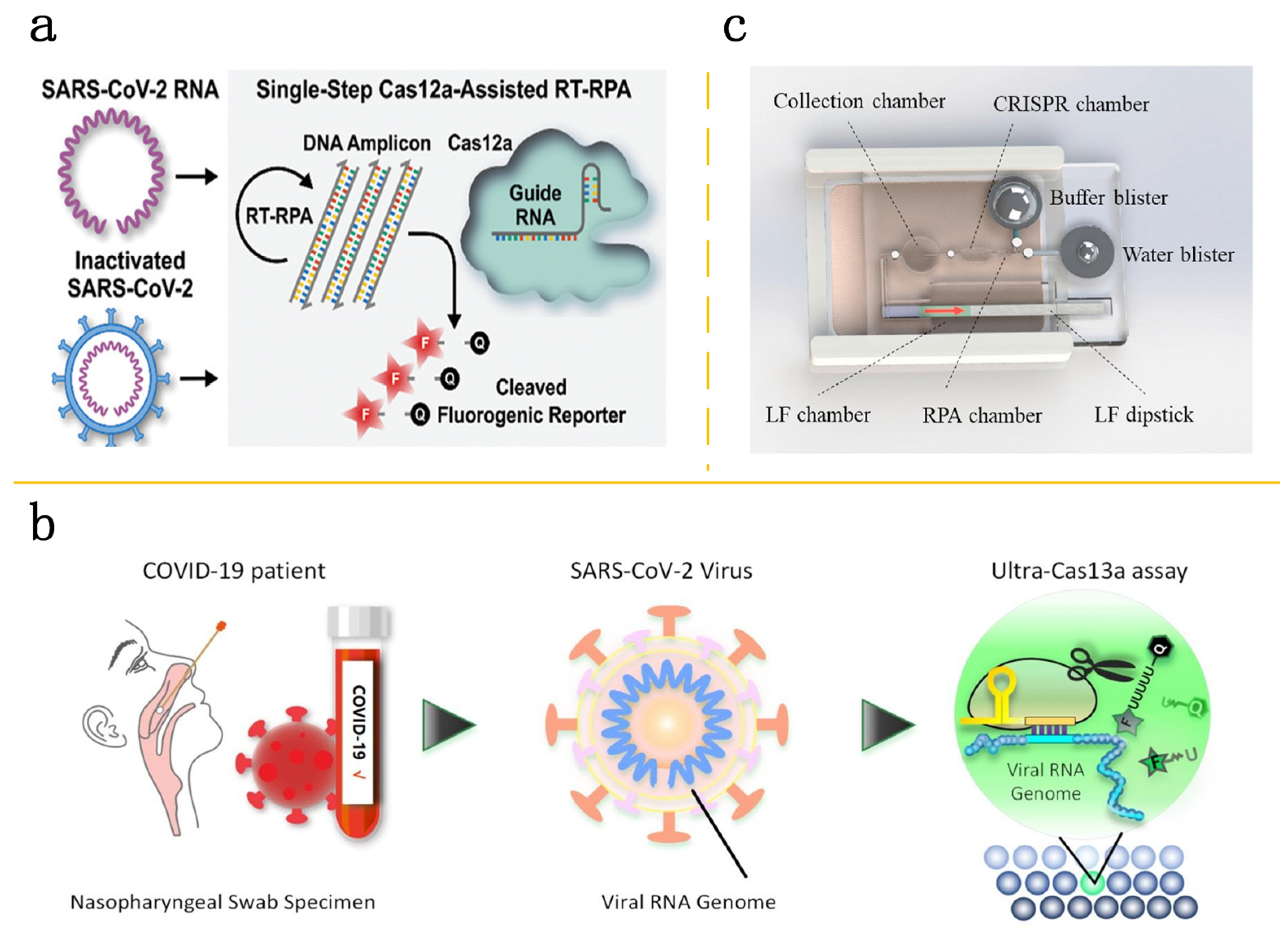 Molecules 29 02417 g004