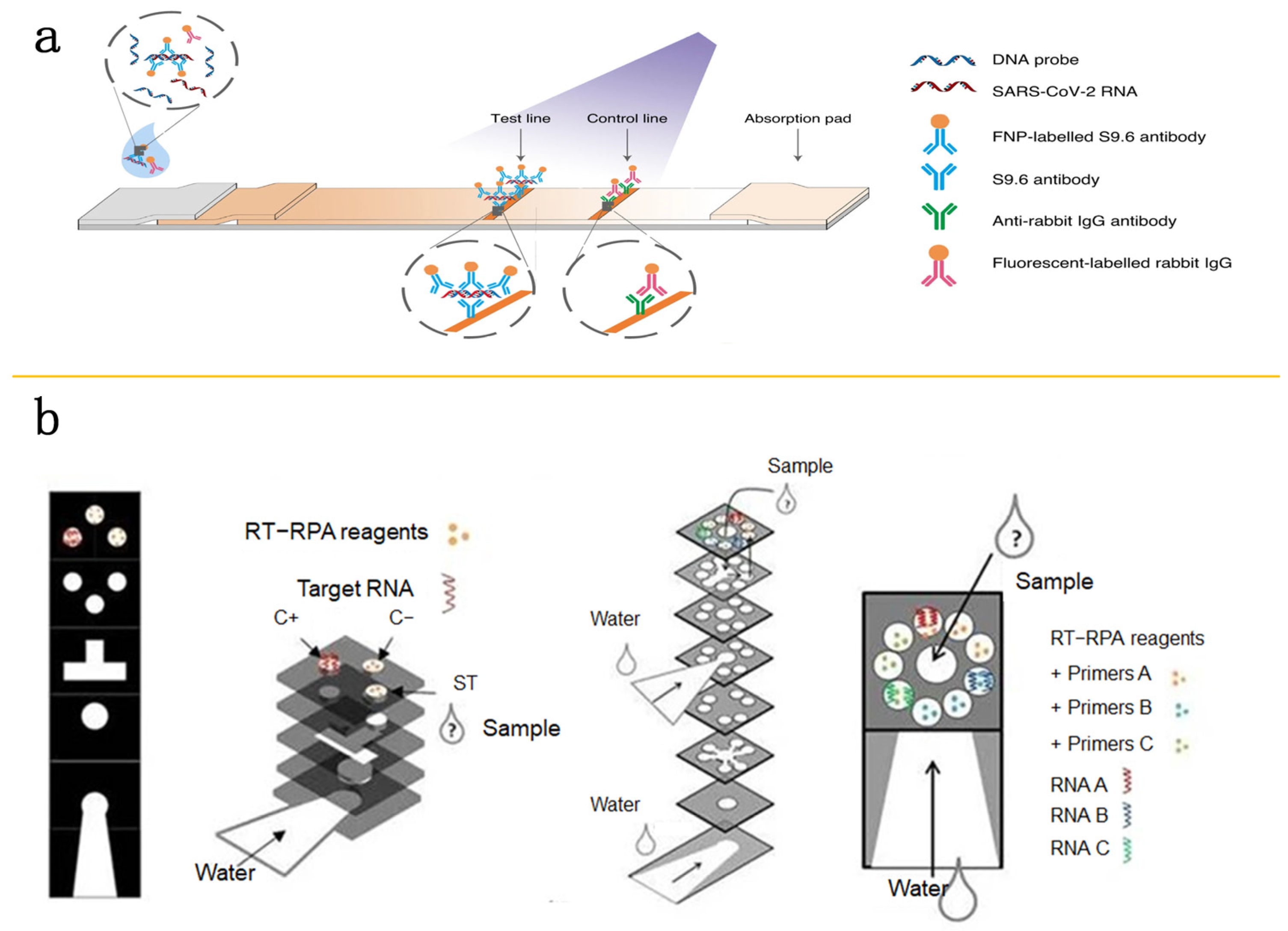 Molecules 29 02417 g007