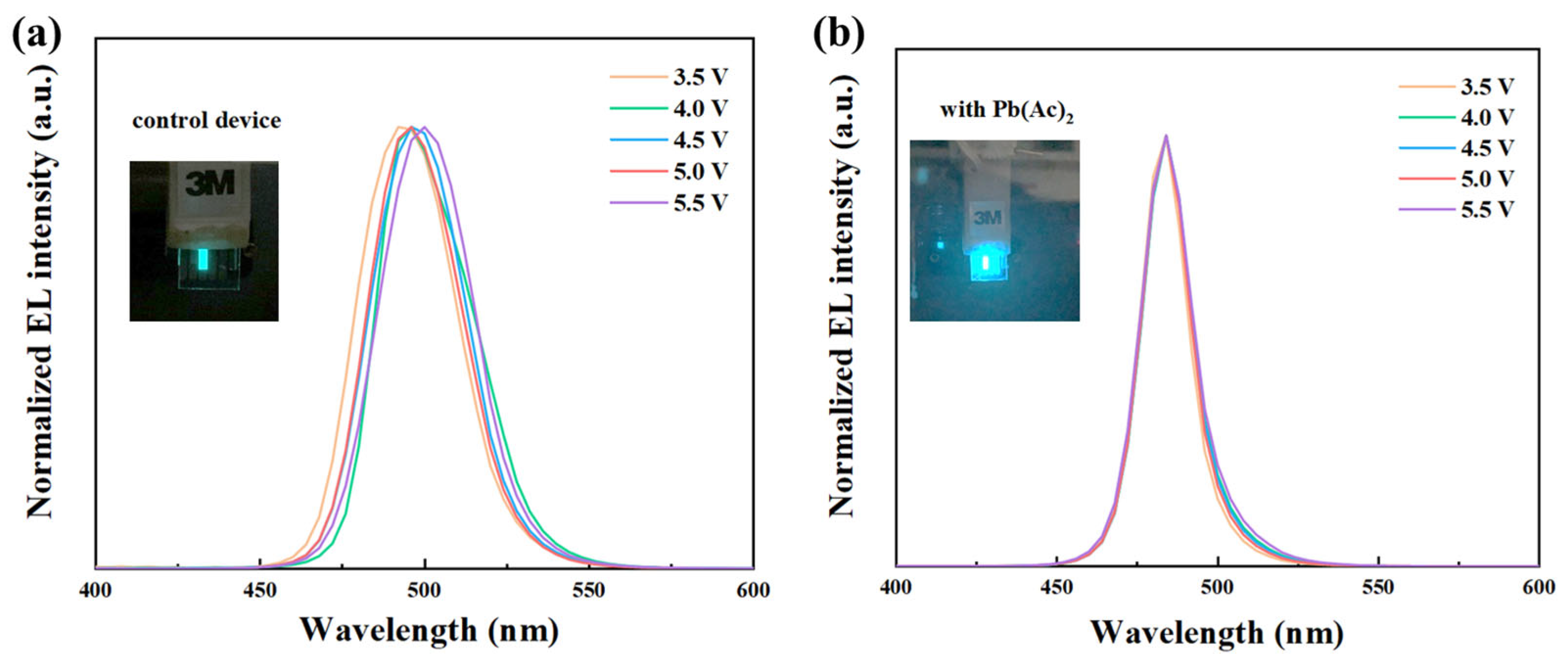 Molecules 29 02425 g006