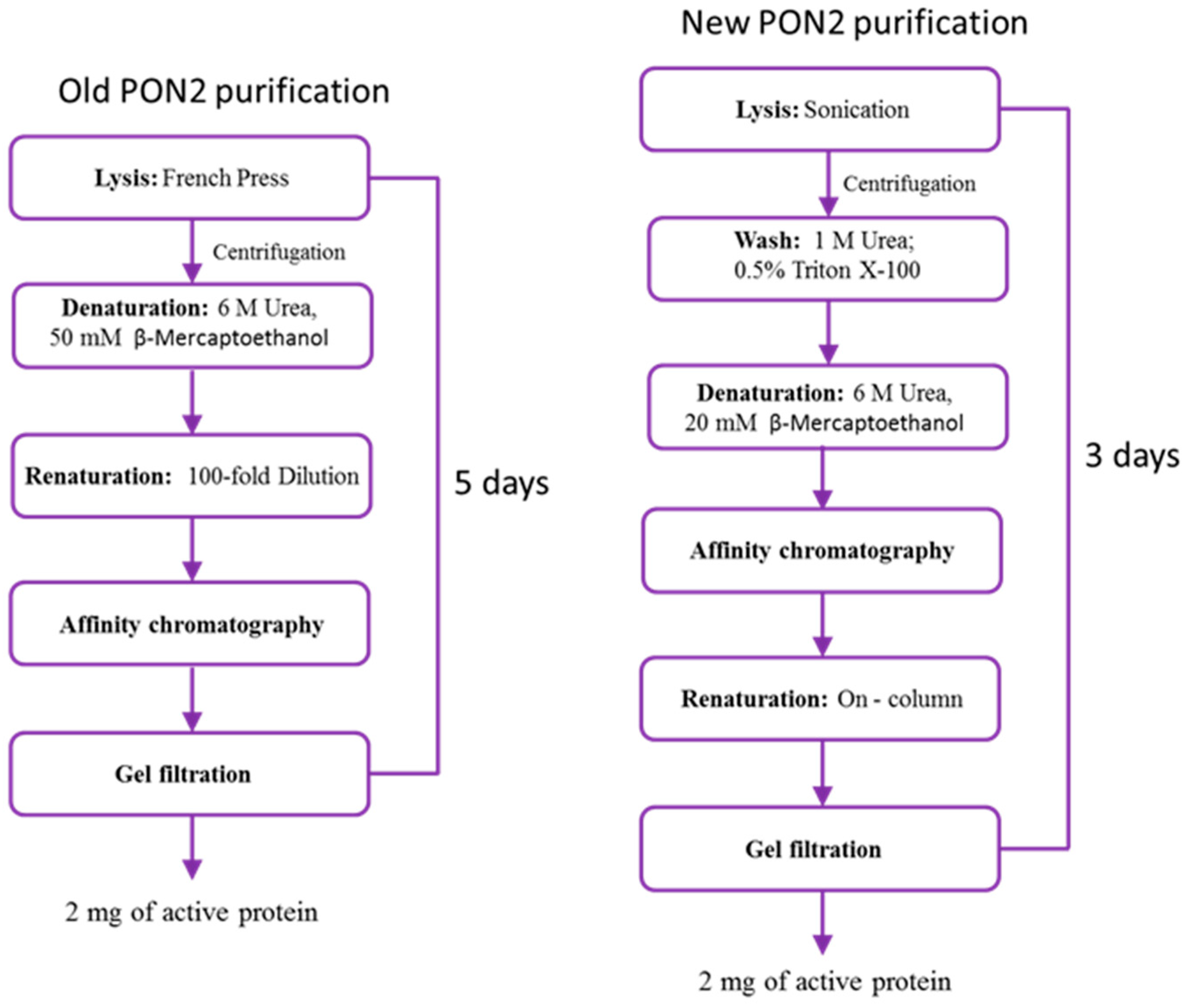 Molecules 29 02434 g001