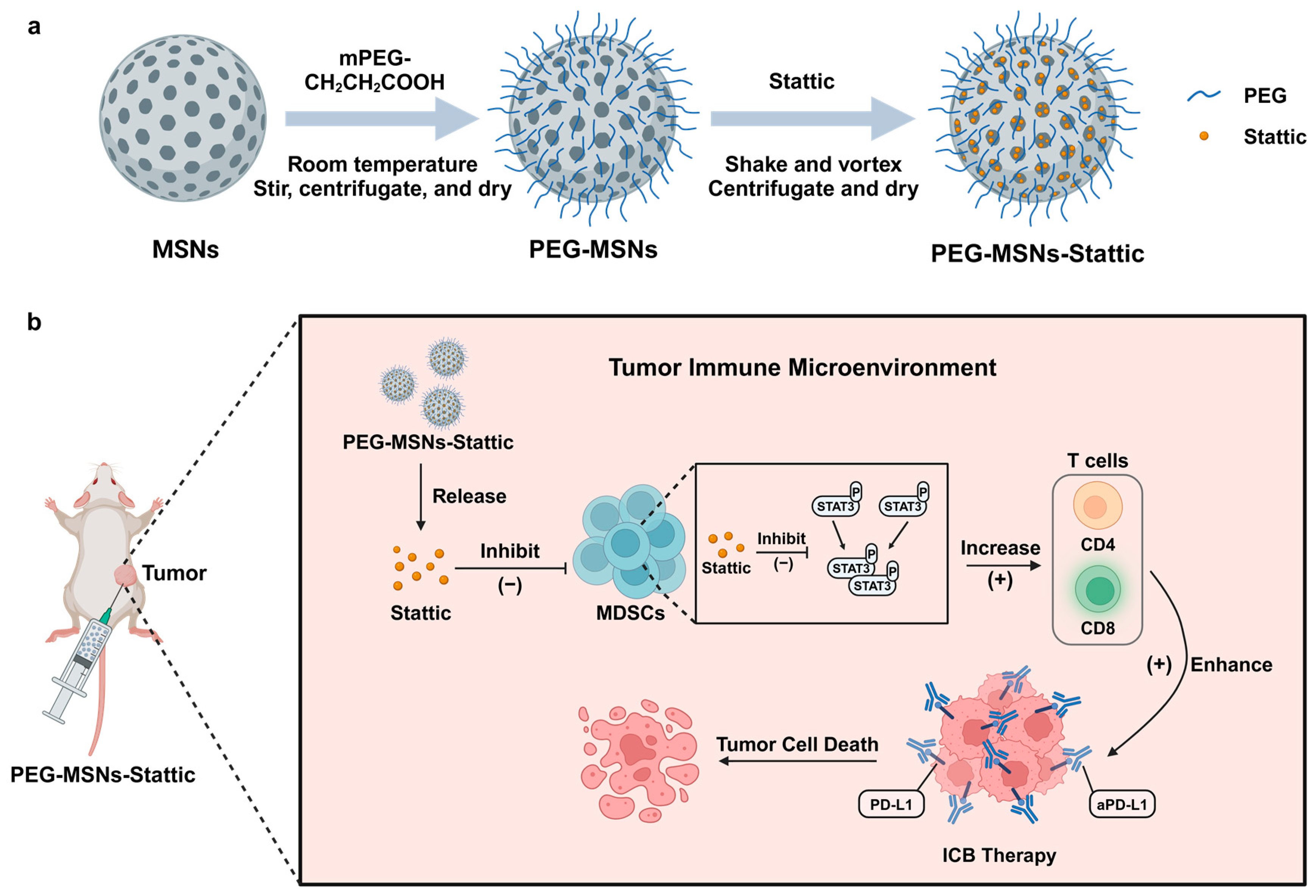 Molecules 29 02436 g005