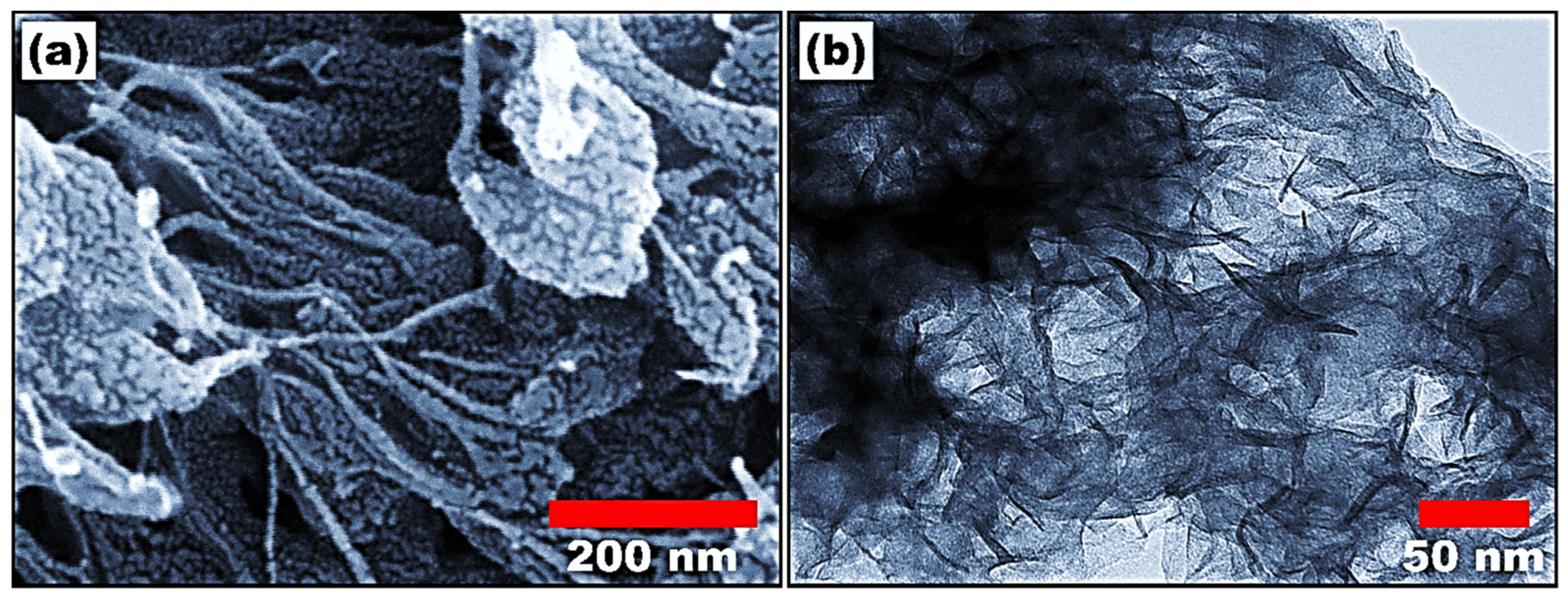 Molecules 29 02439 g001