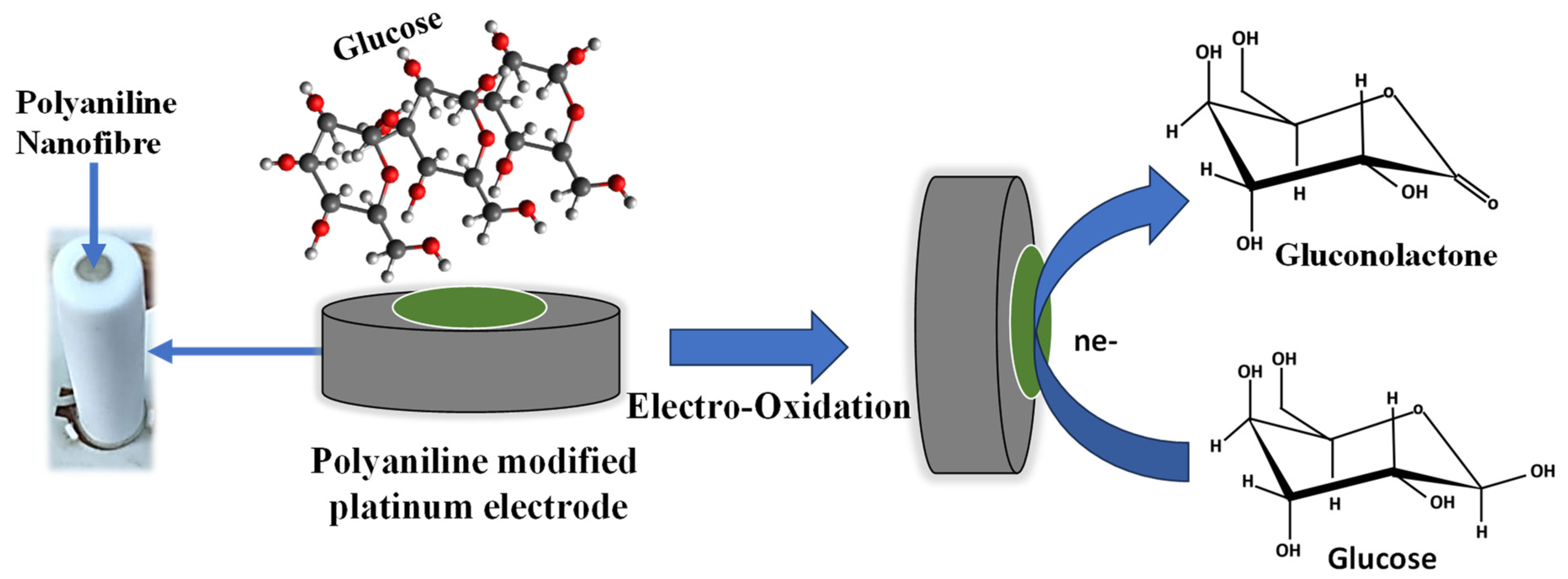 Molecules 29 02439 g004
