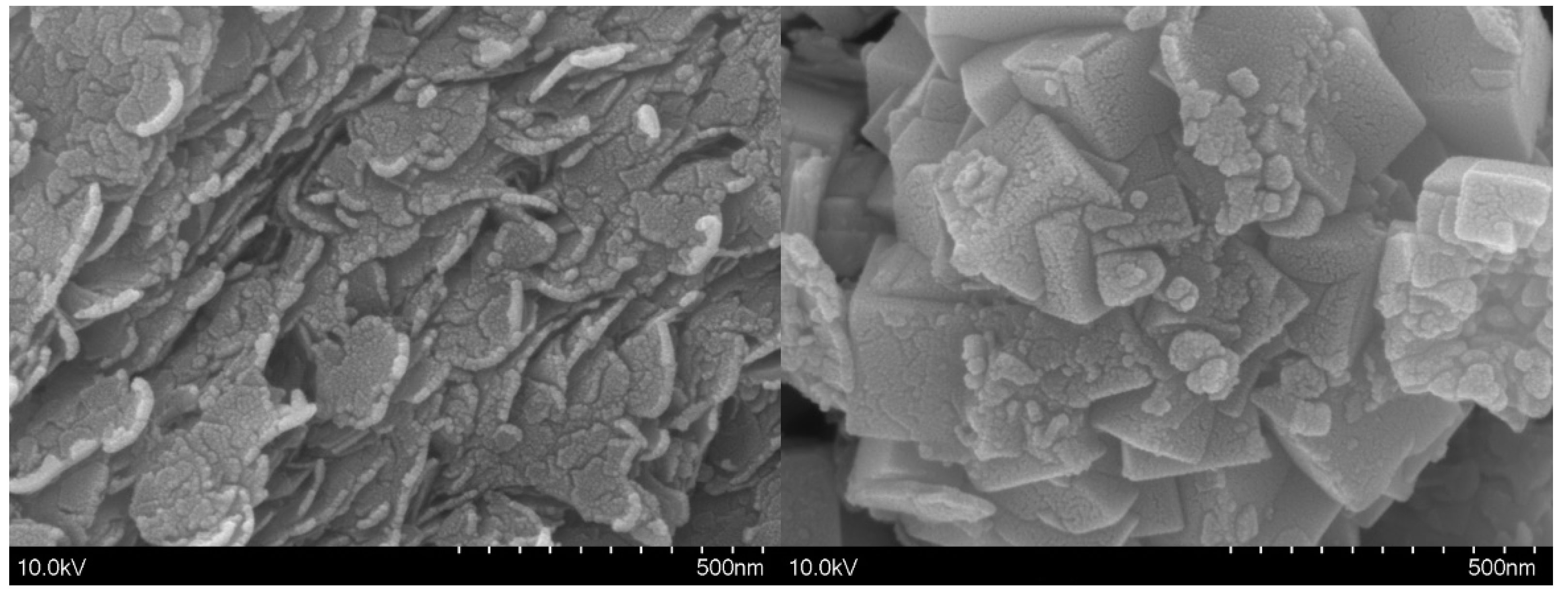 Molecules 29 02447 g002