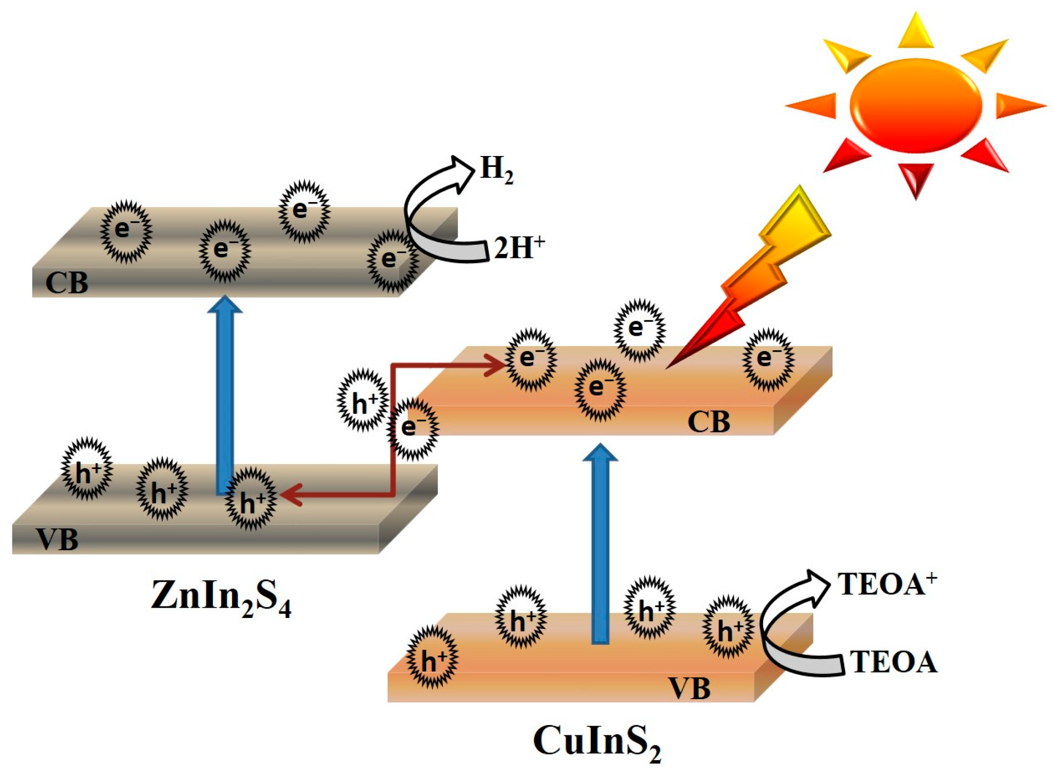 Molecules 29 02447 g010