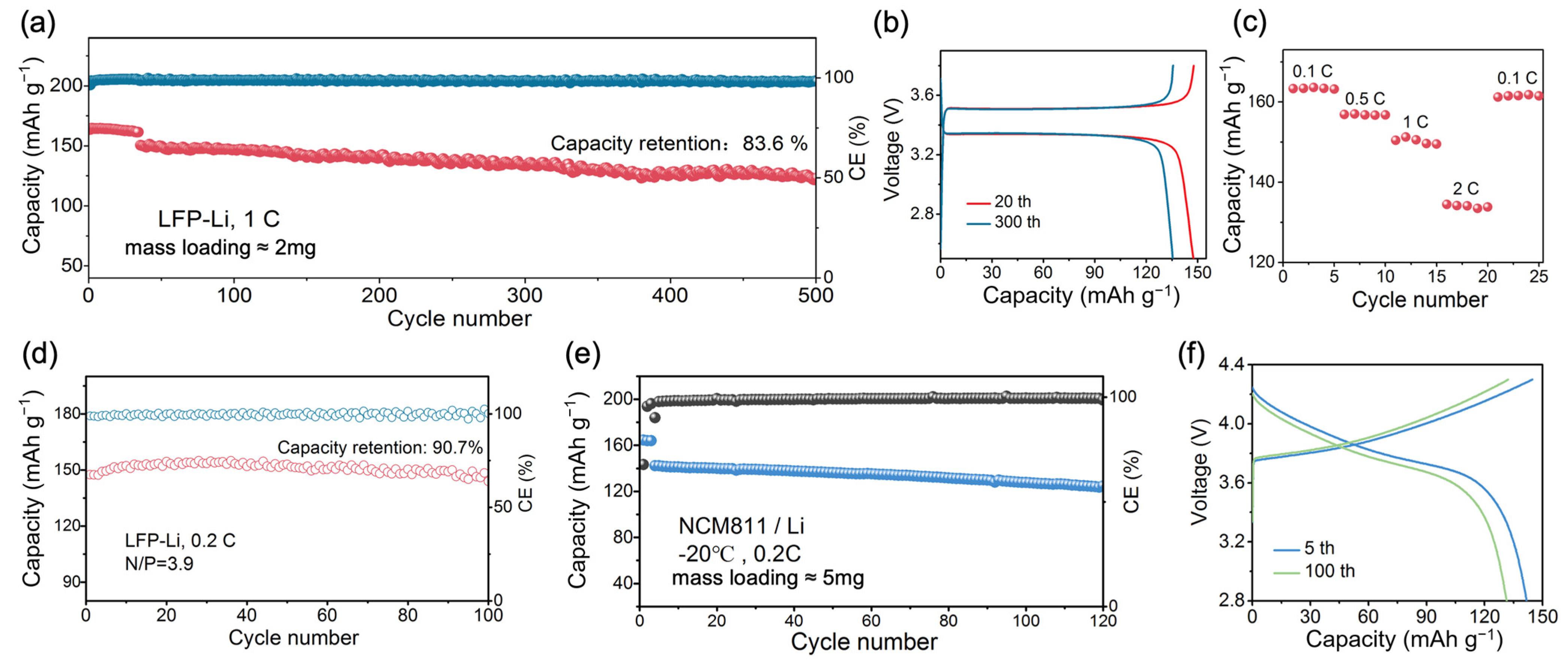 Molecules 29 02454 g005