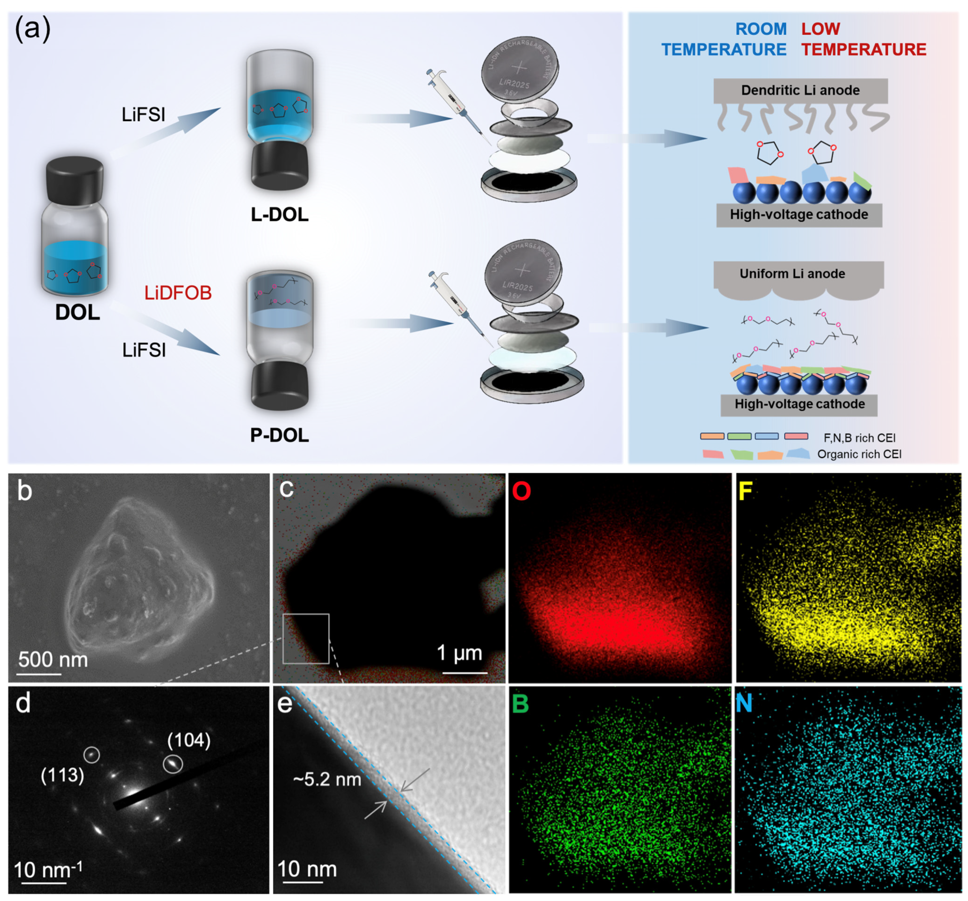 Molecules 29 02454 g007