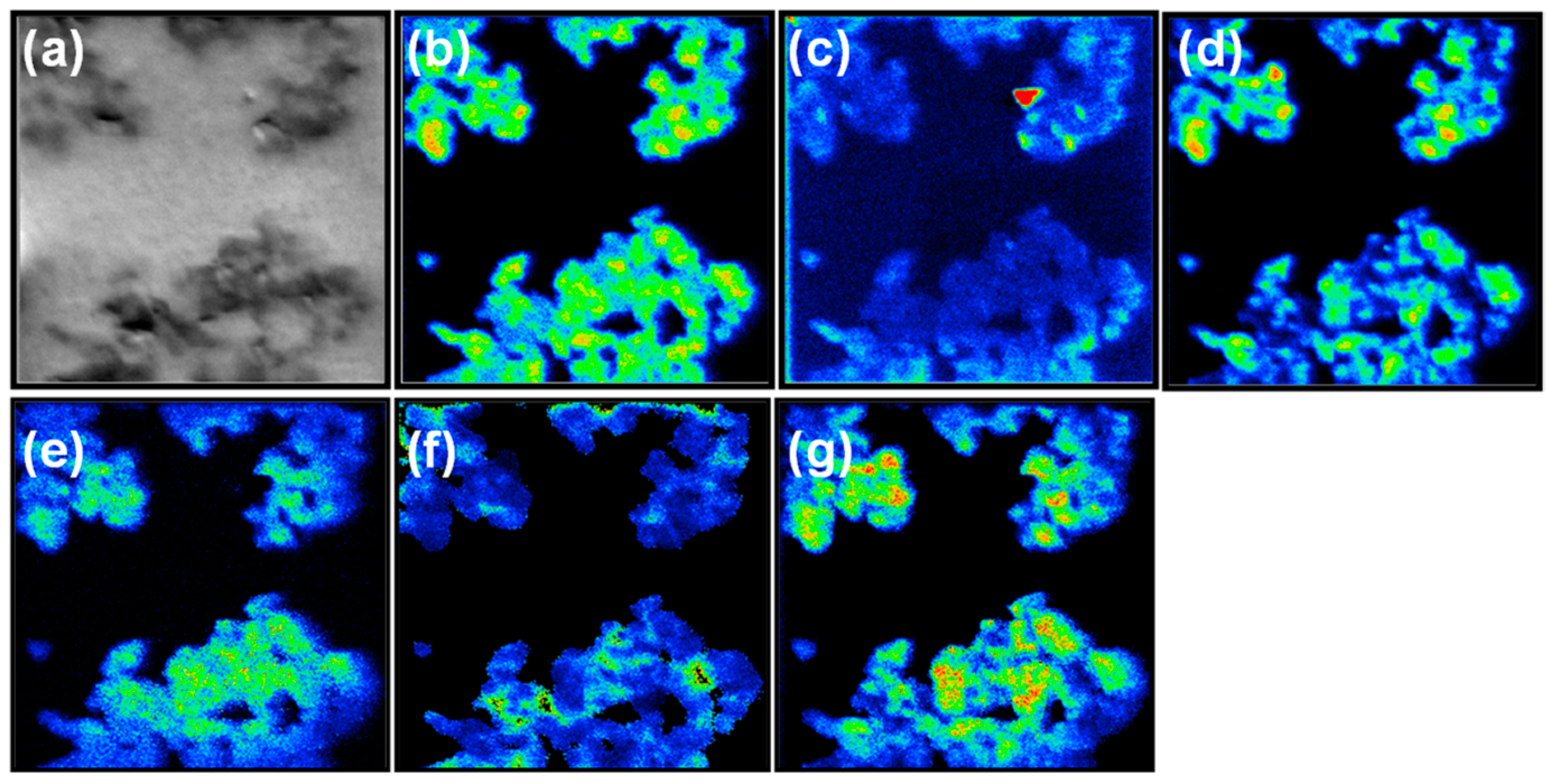 Molecules 29 02464 g003
