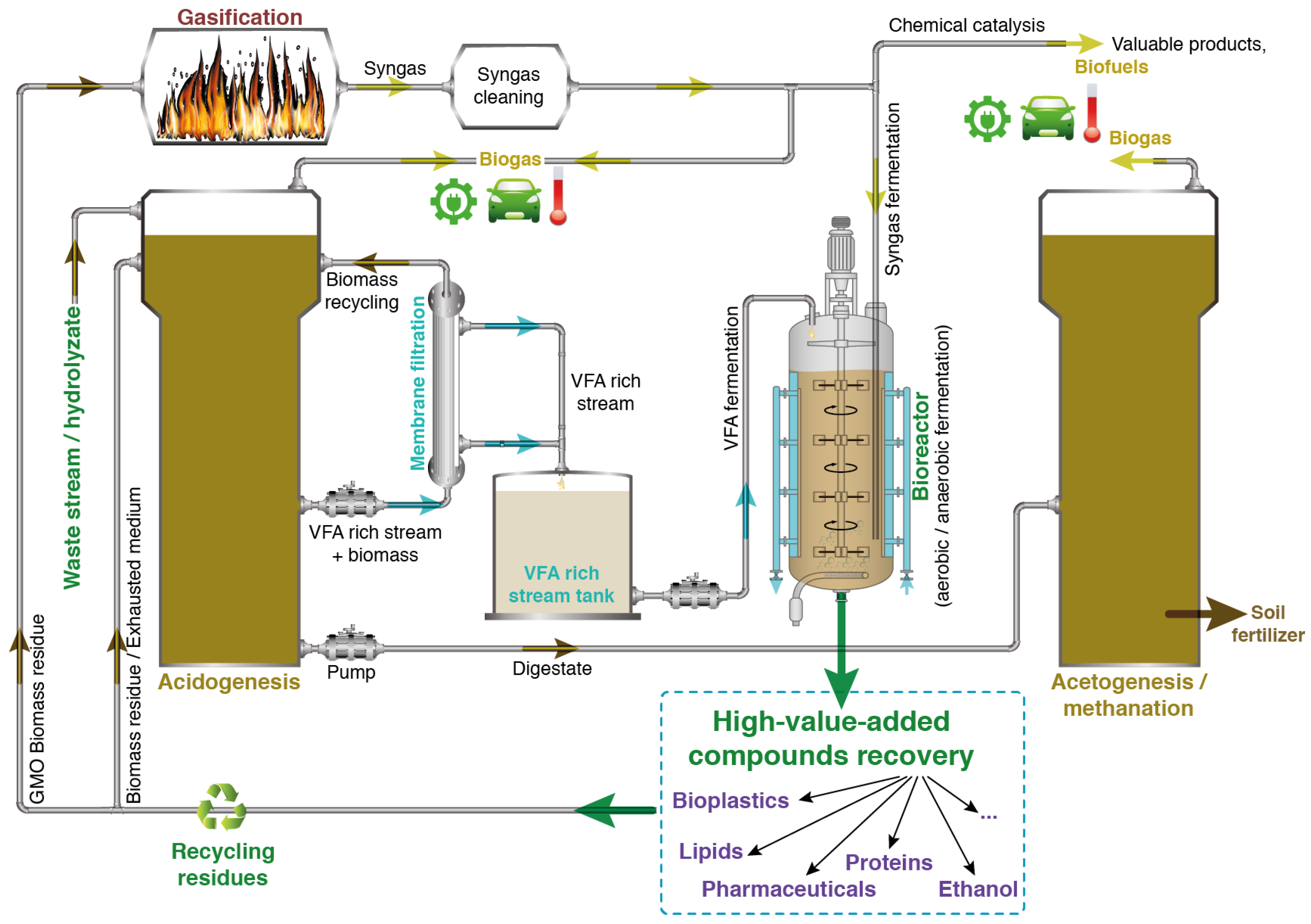 Molecules 29 02477 g007