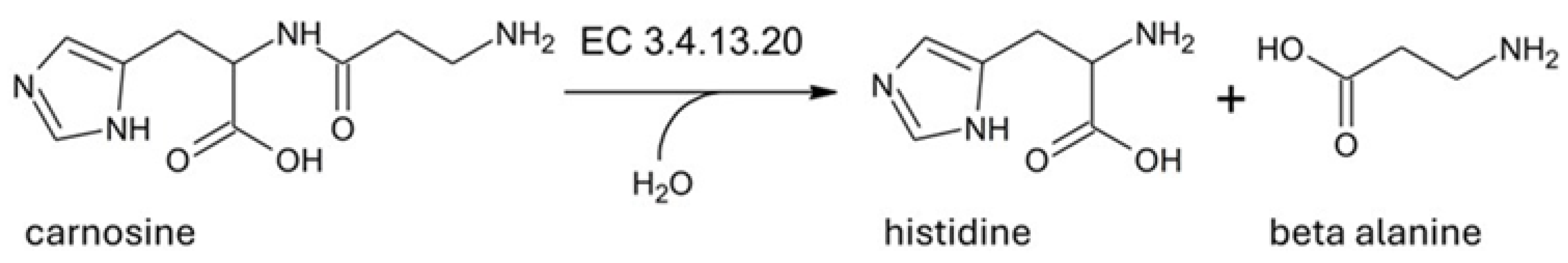 Molecules 29 02488 g001