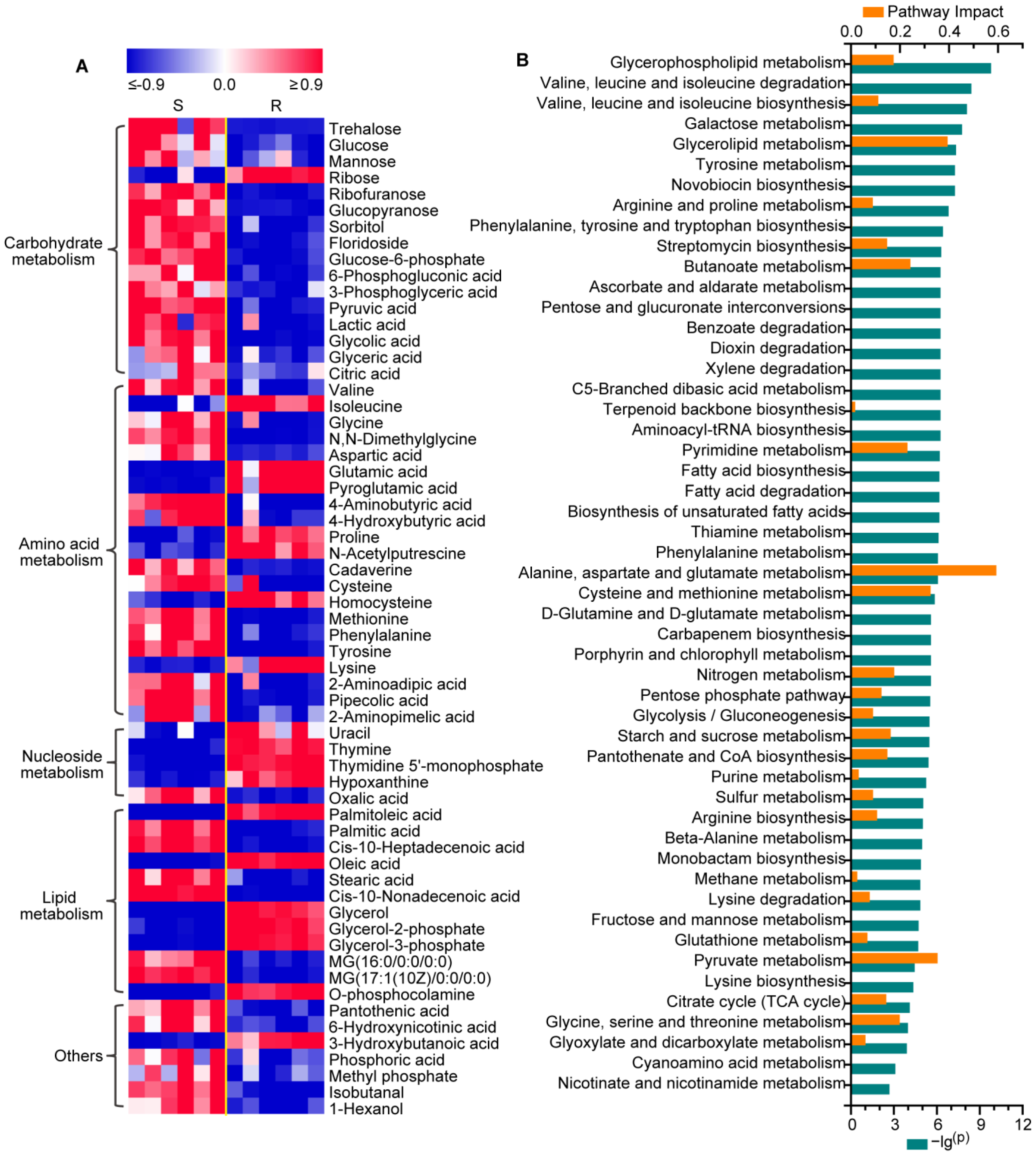 Molecules 29 02504 g002