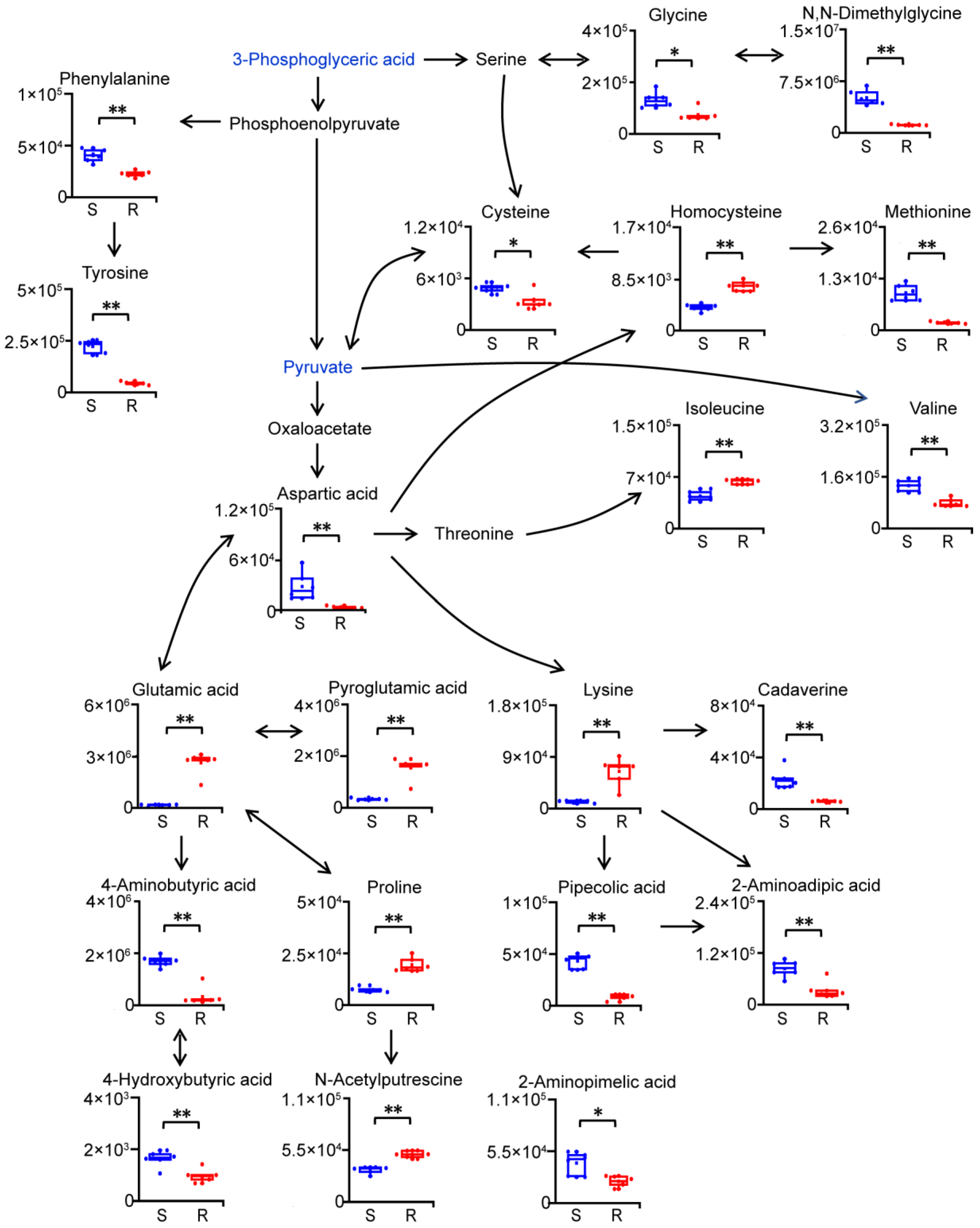 Molecules 29 02504 g004