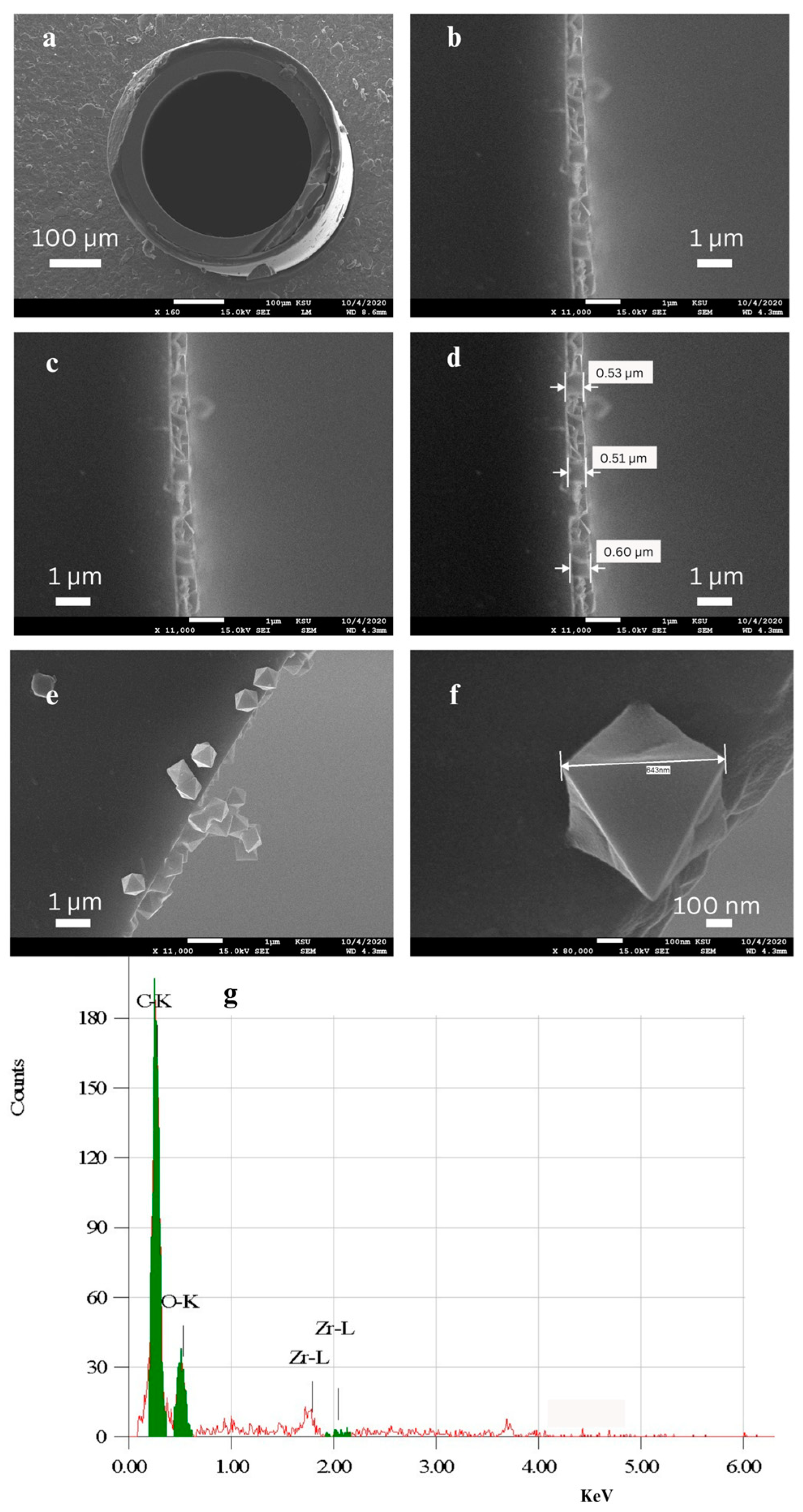 Molecules 29 02505 g001