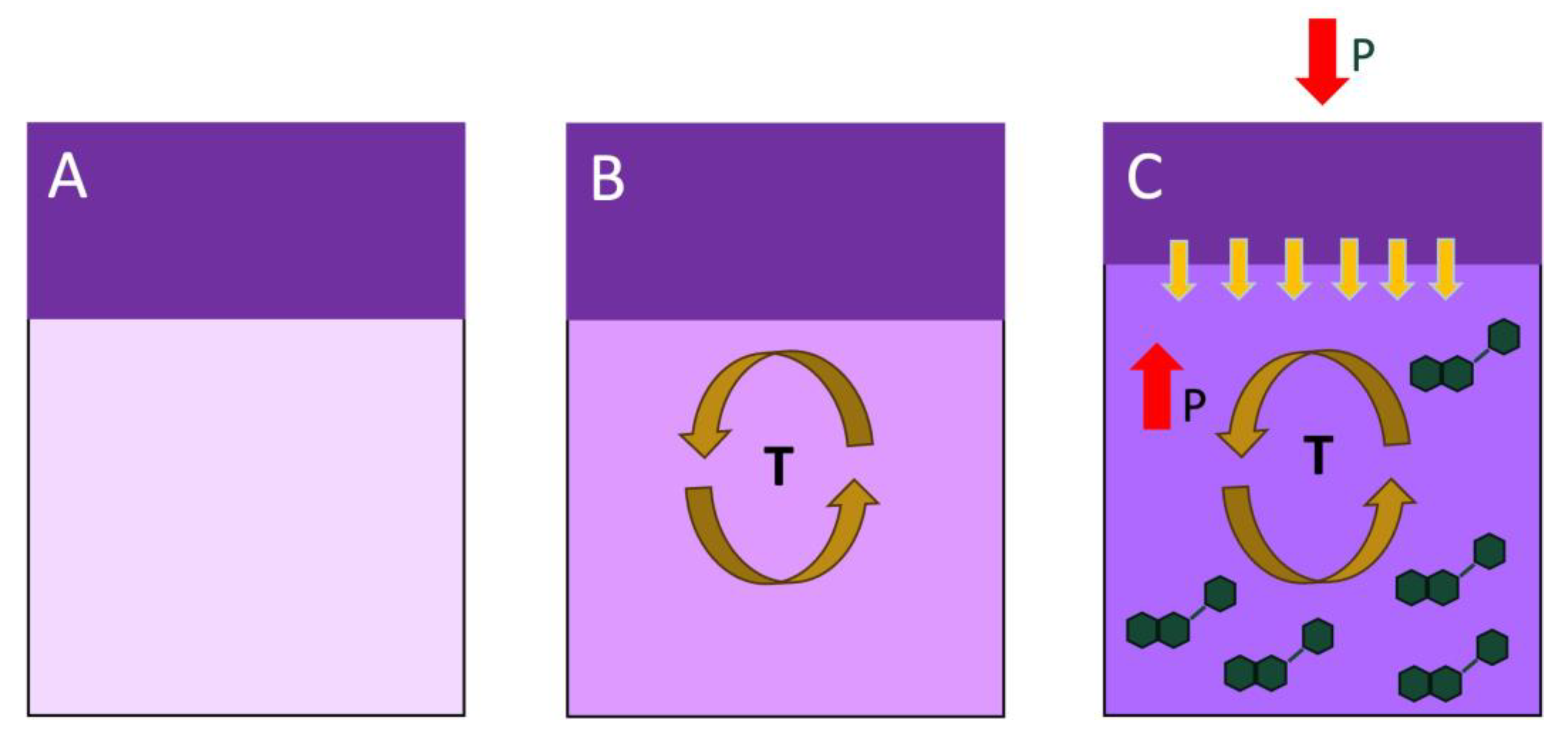 Molecules 29 02509 g010 Molecules 29 02509 g010