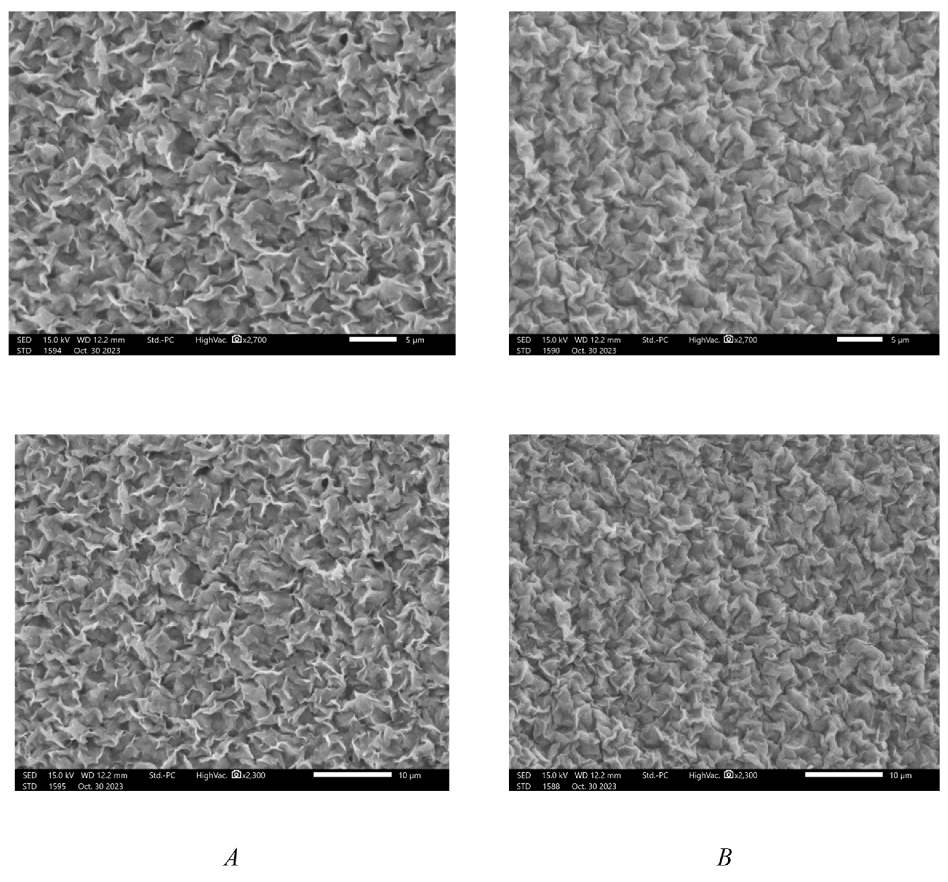 Molecules 29 02512 g002