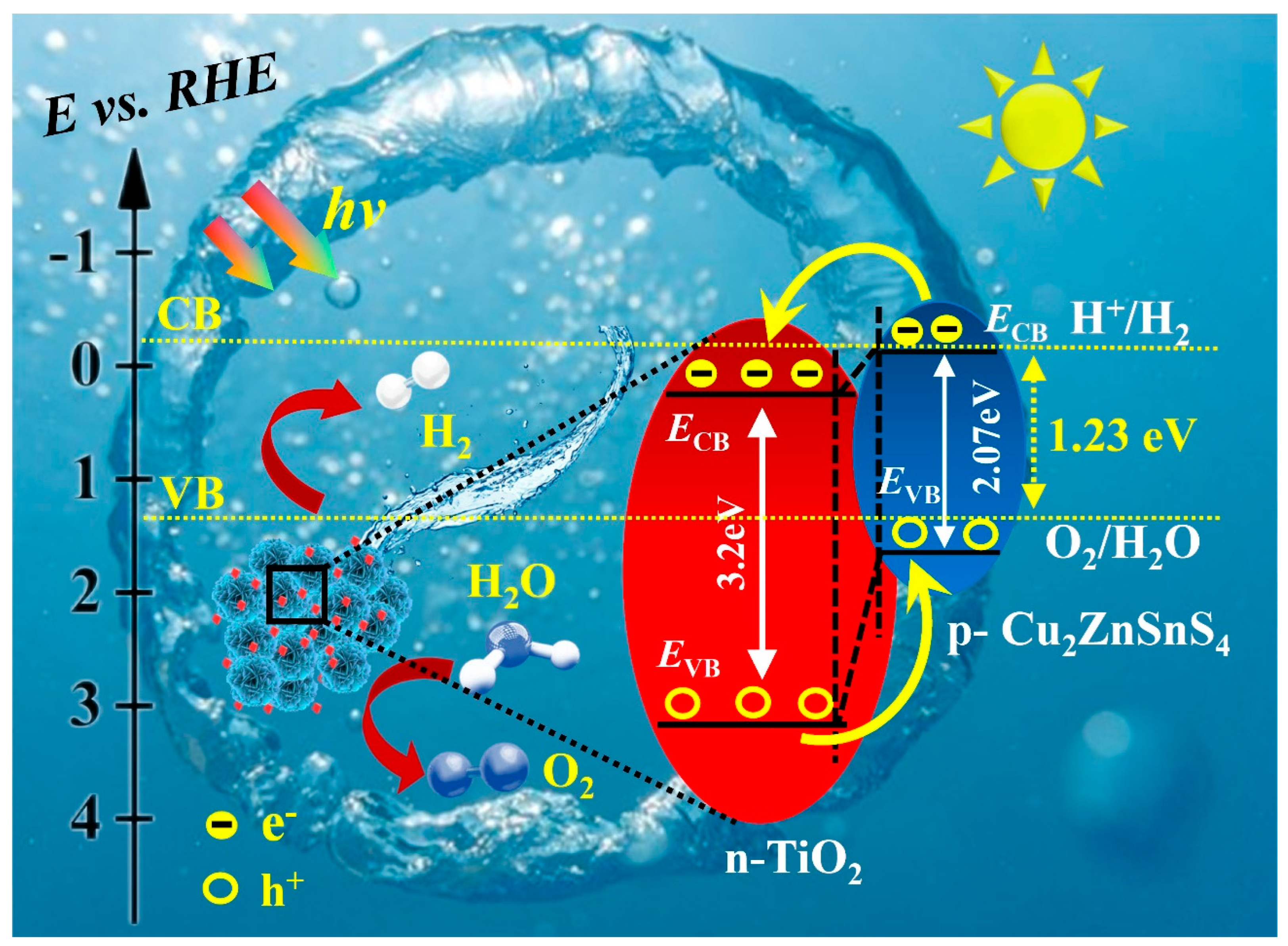 Molecules 29 02514 g009