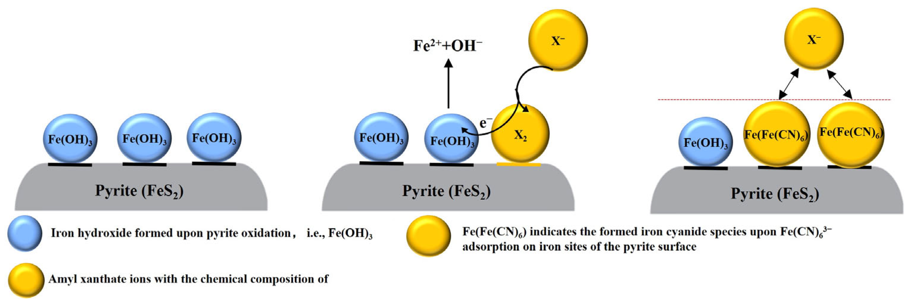 Molecules 29 02517 g008