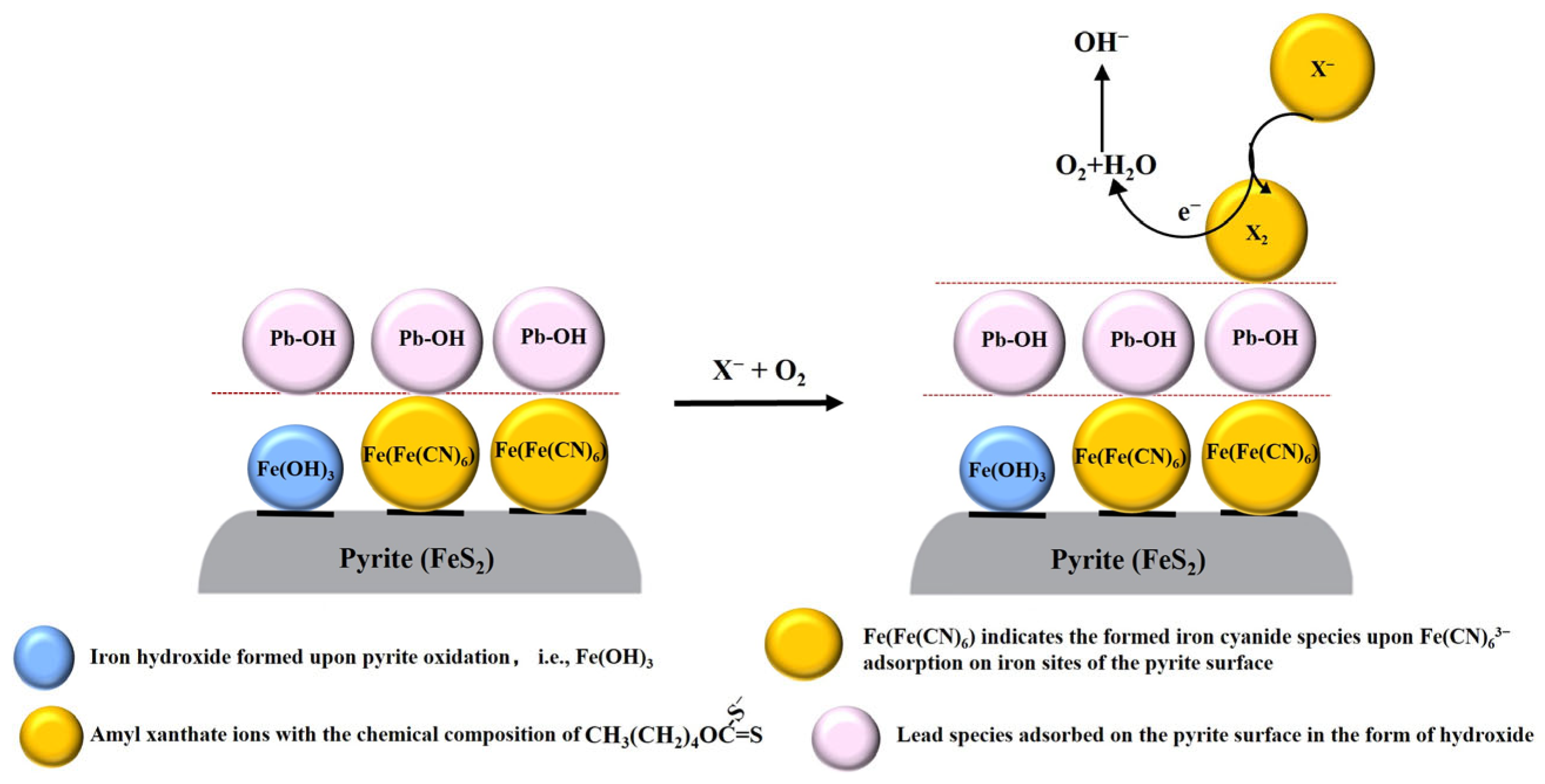 Molecules 29 02517 g009