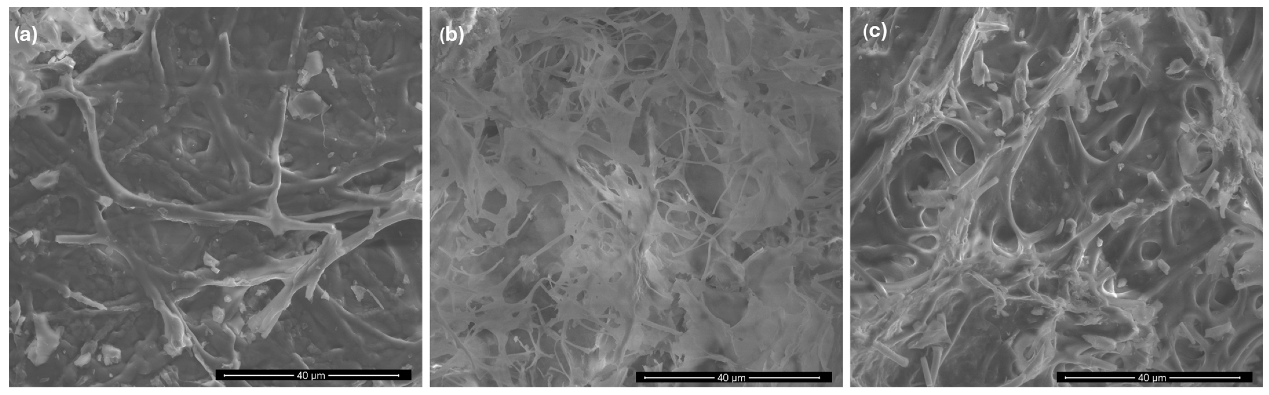 Molecules 29 02520 g003