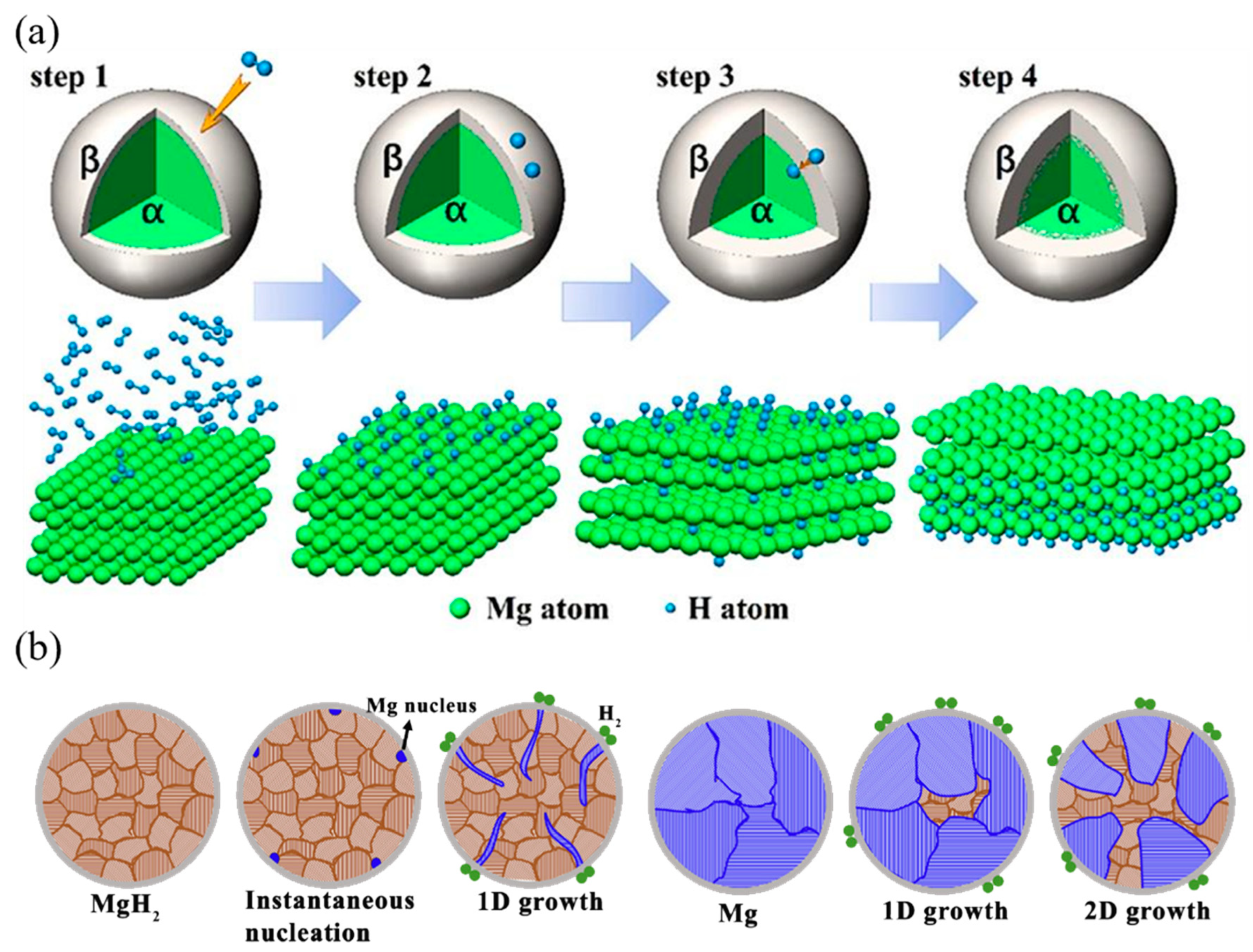 Molecules 29 02525 g002
