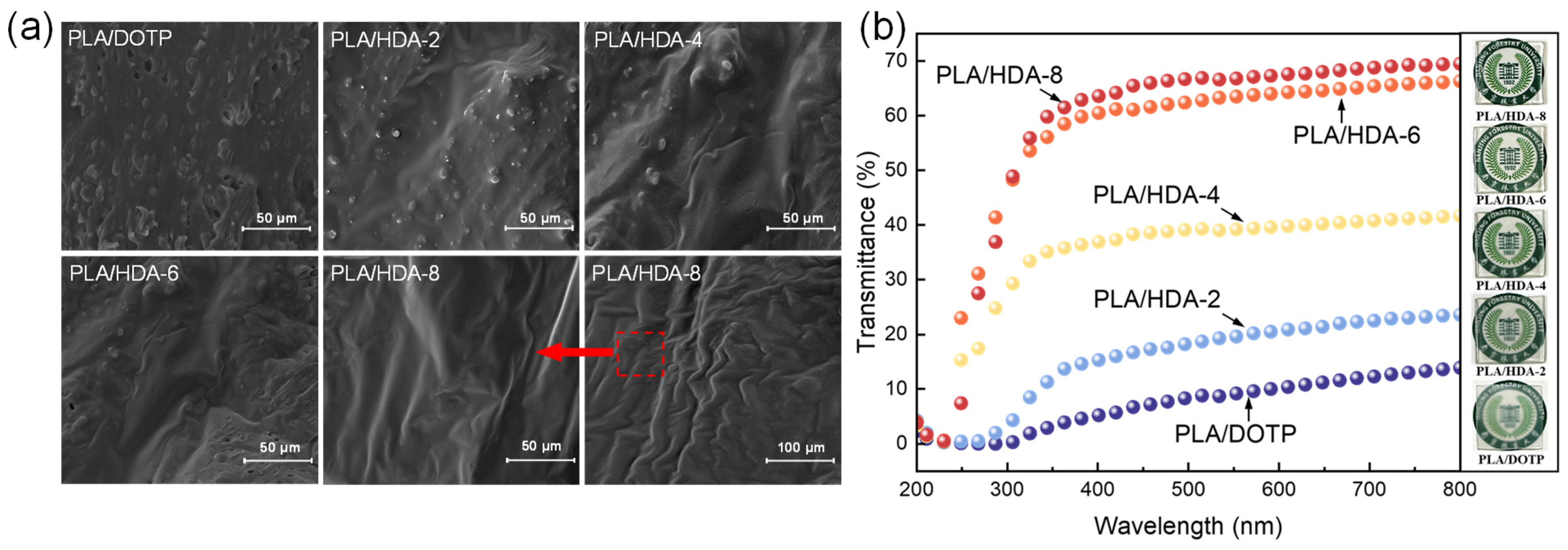Molecules 29 02526 g004