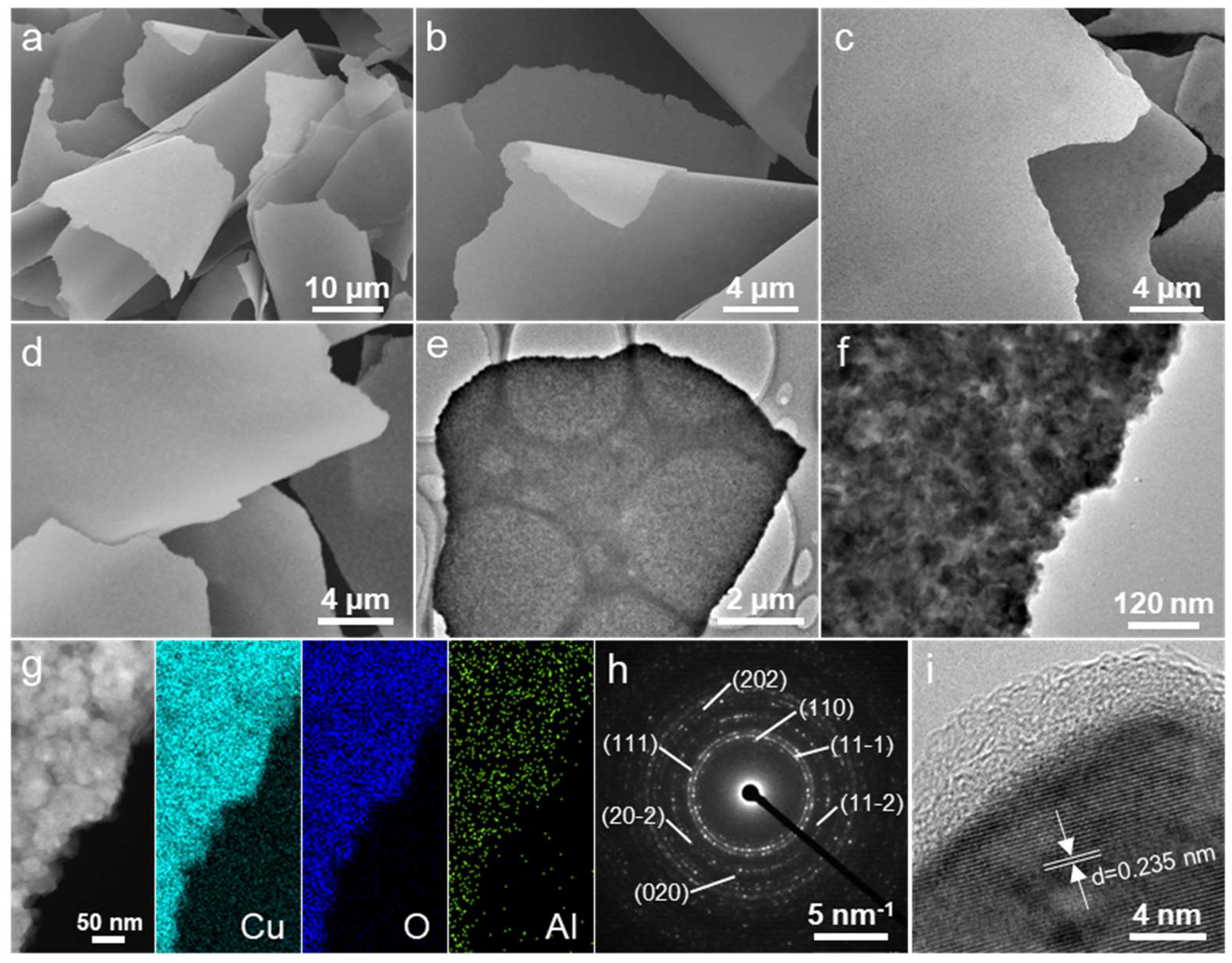 Molecules 29 02528 g002