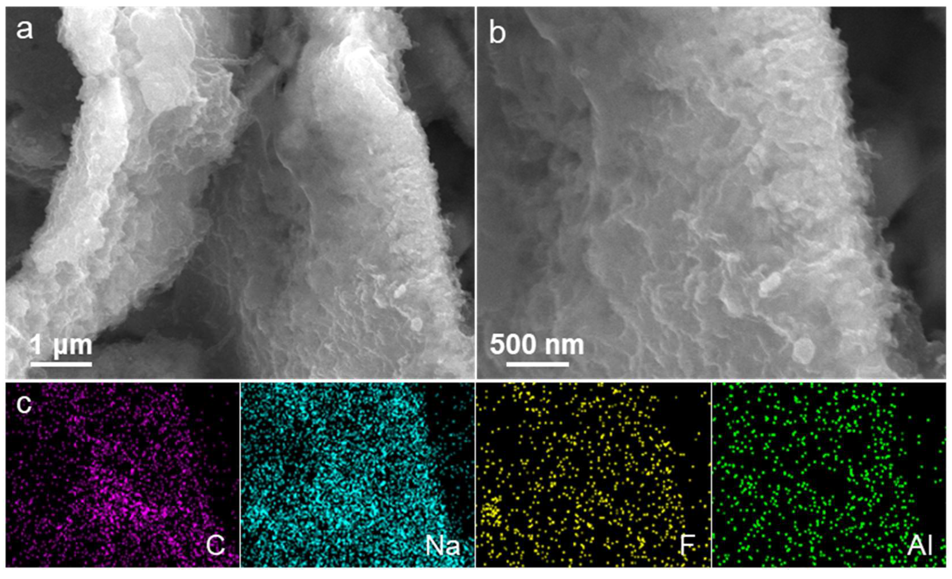 Molecules 29 02528 g006