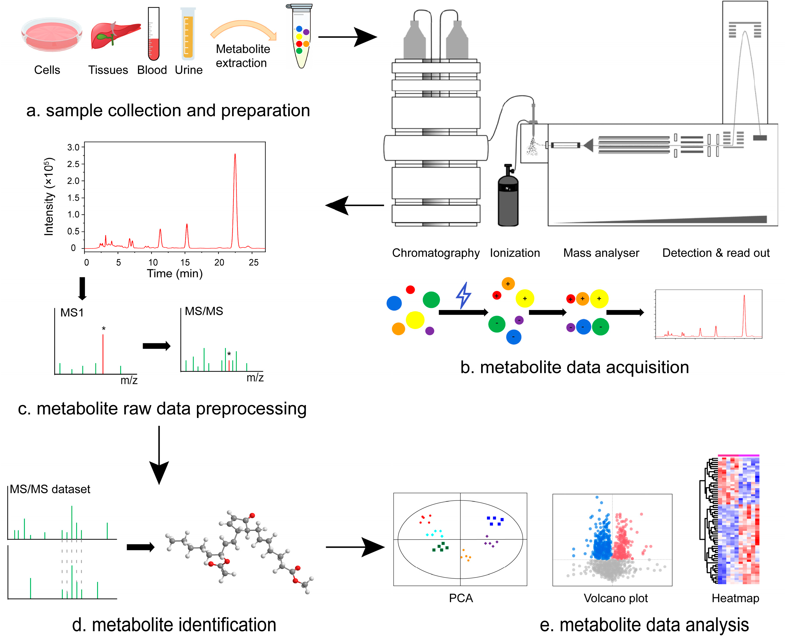 Molecules 29 02530 g002