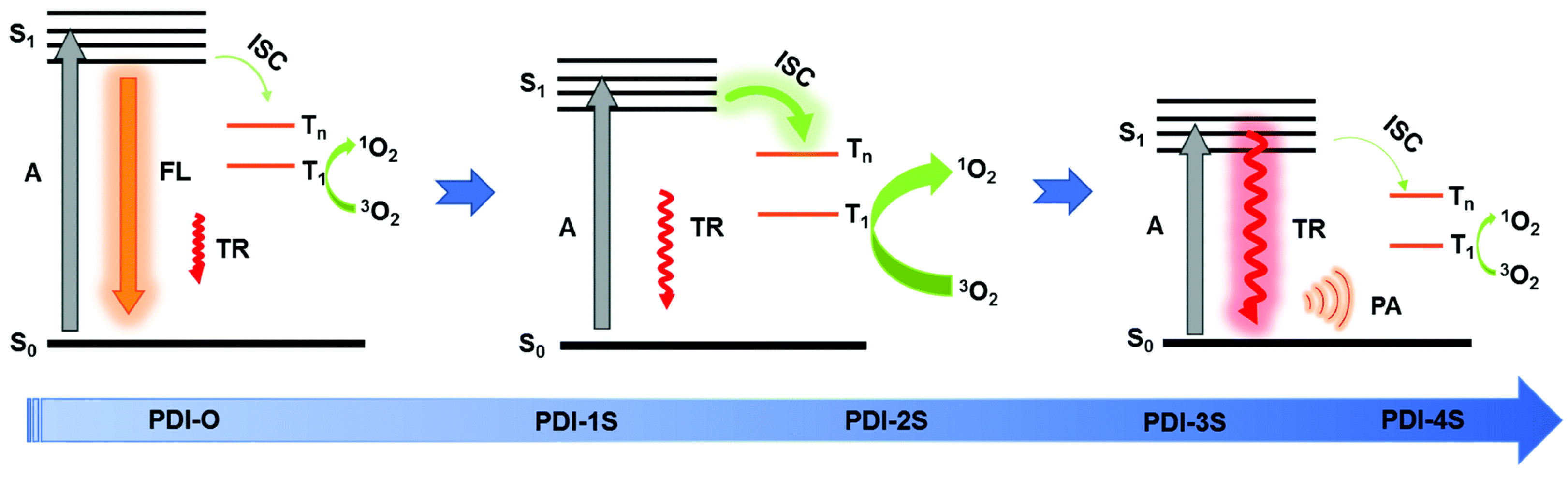 Molecules 29 02538 g007