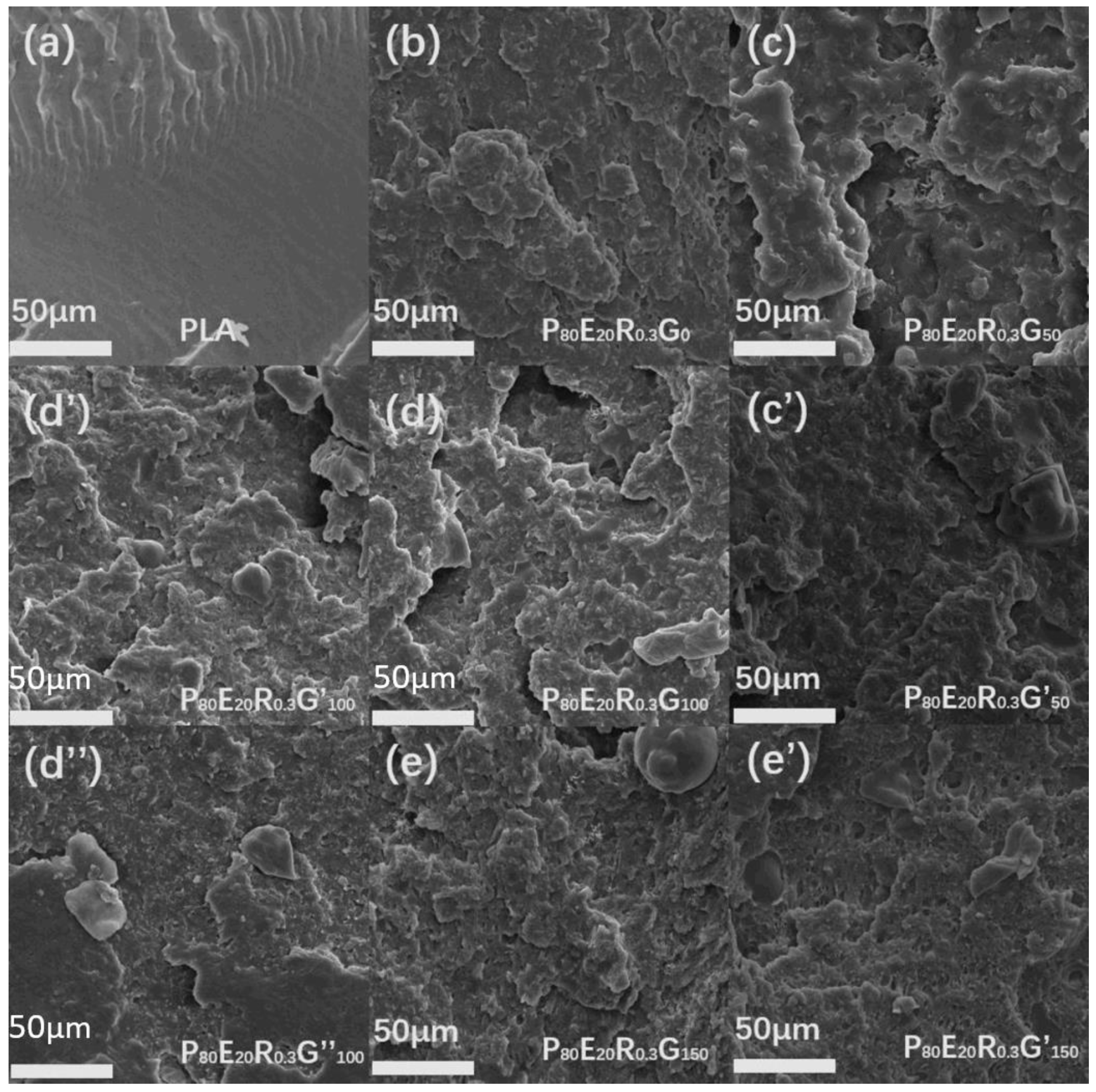 Molecules 29 02539 g012
